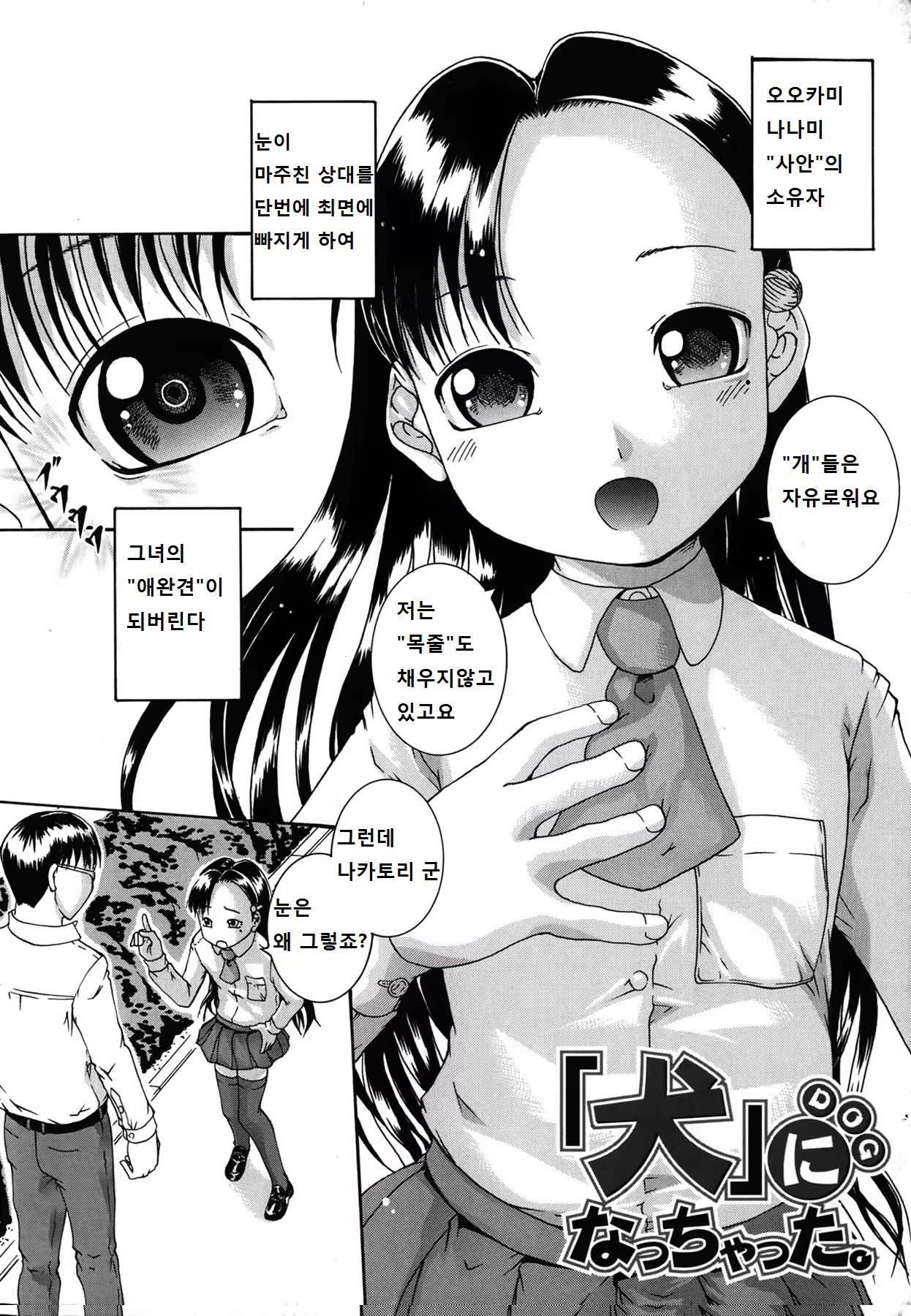 Content 8035 - 10 페이지
