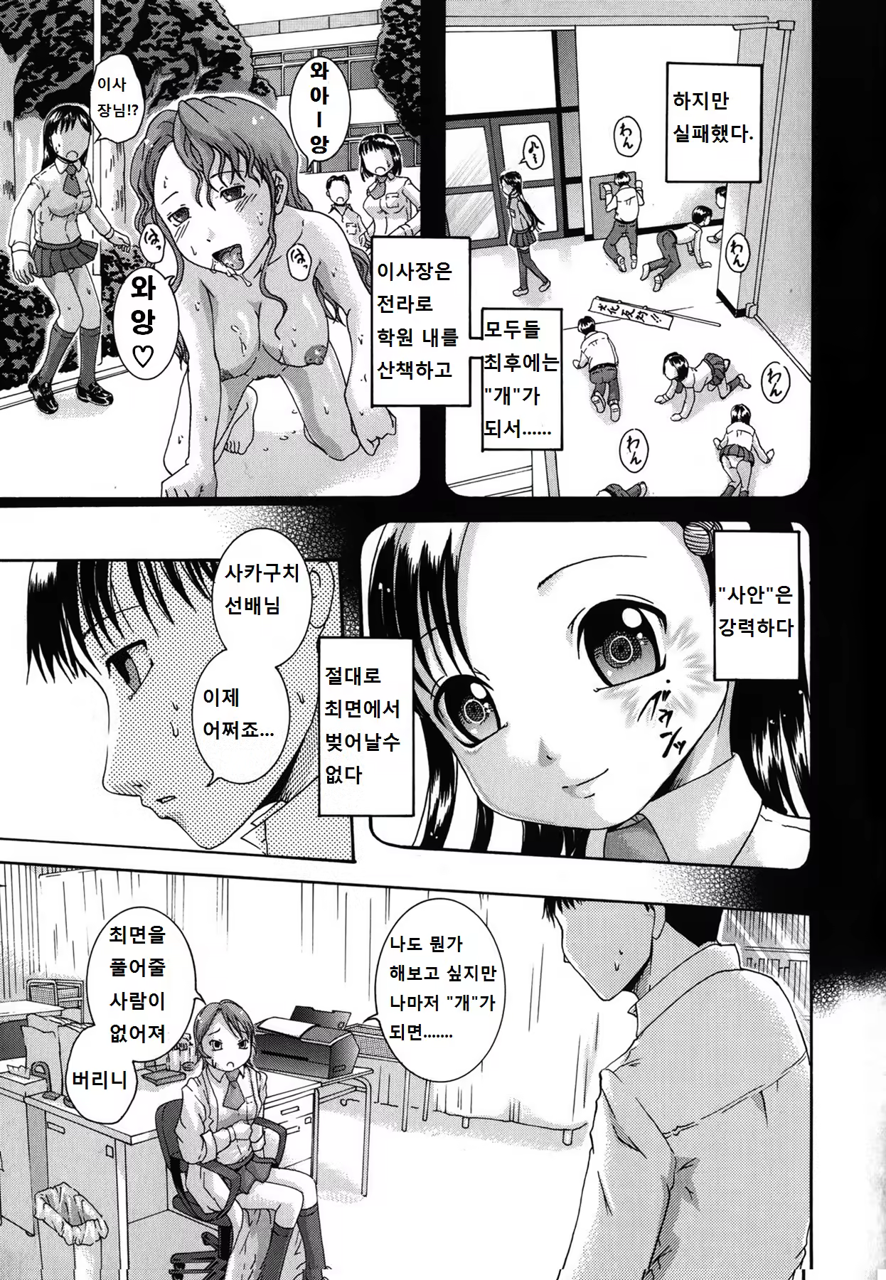 Content 8035 - 13 페이지