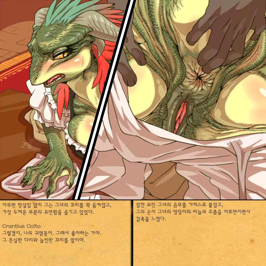 Content 810774 - 5 페이지