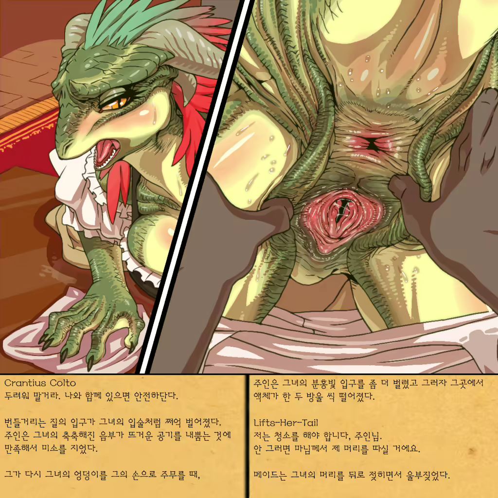Content 810774 - 7 페이지