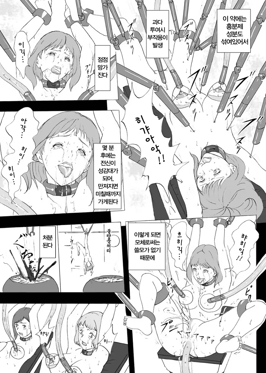 Content 812705 - 9 페이지