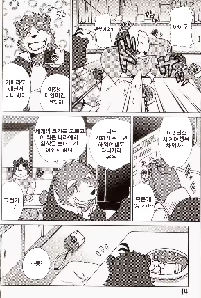 Content 814335 - 15 페이지