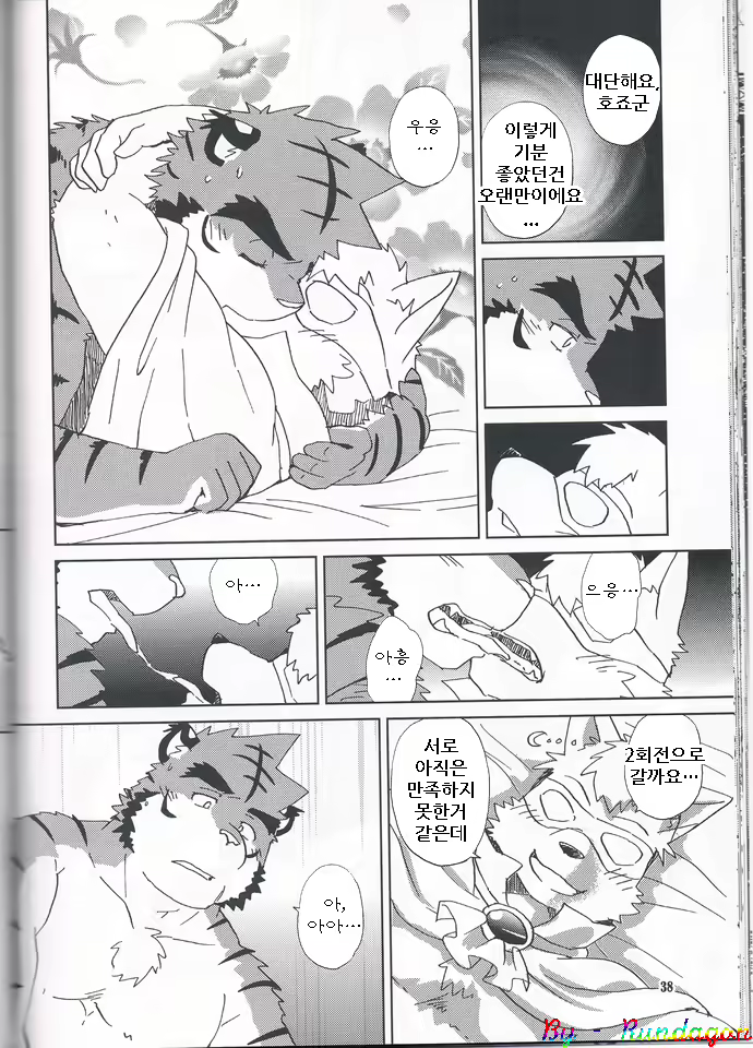Content 814671 - 38 페이지