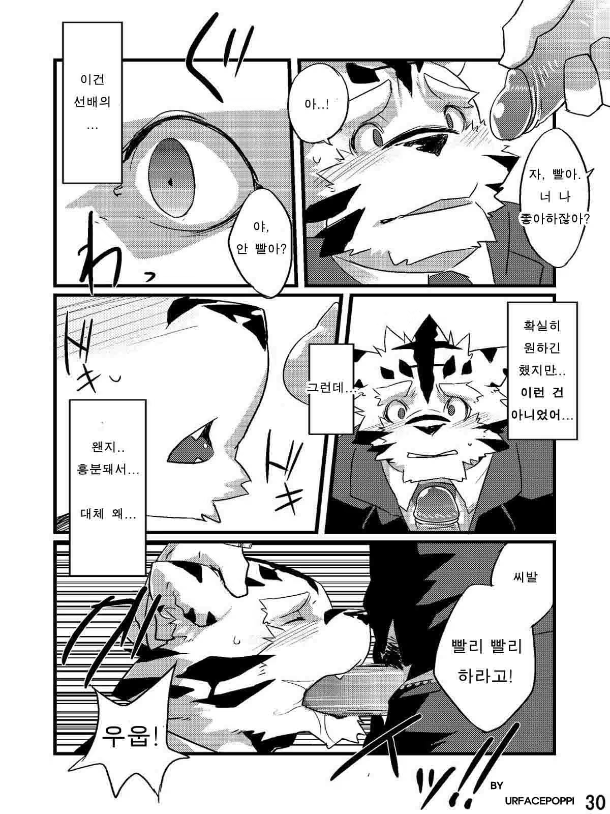 Content 814672 - 29 페이지