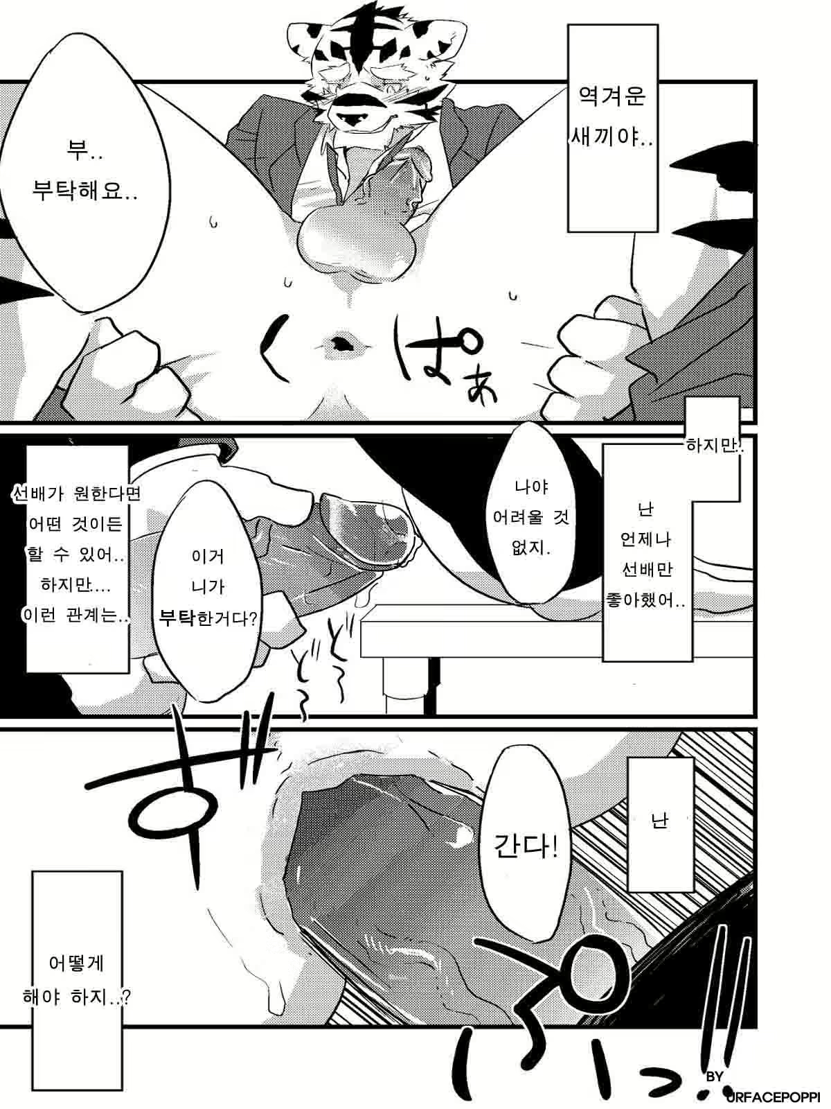 Content 814672 - 32 페이지