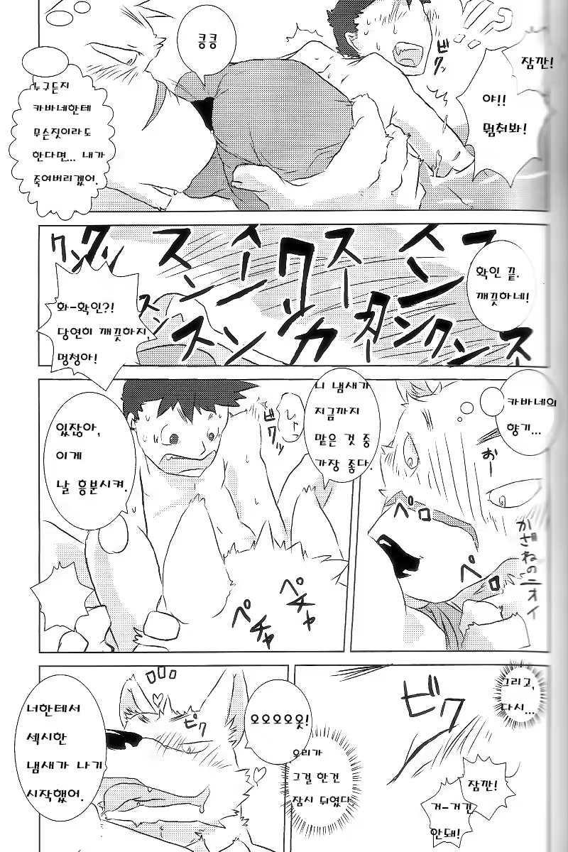 Content 814703 - 11 페이지