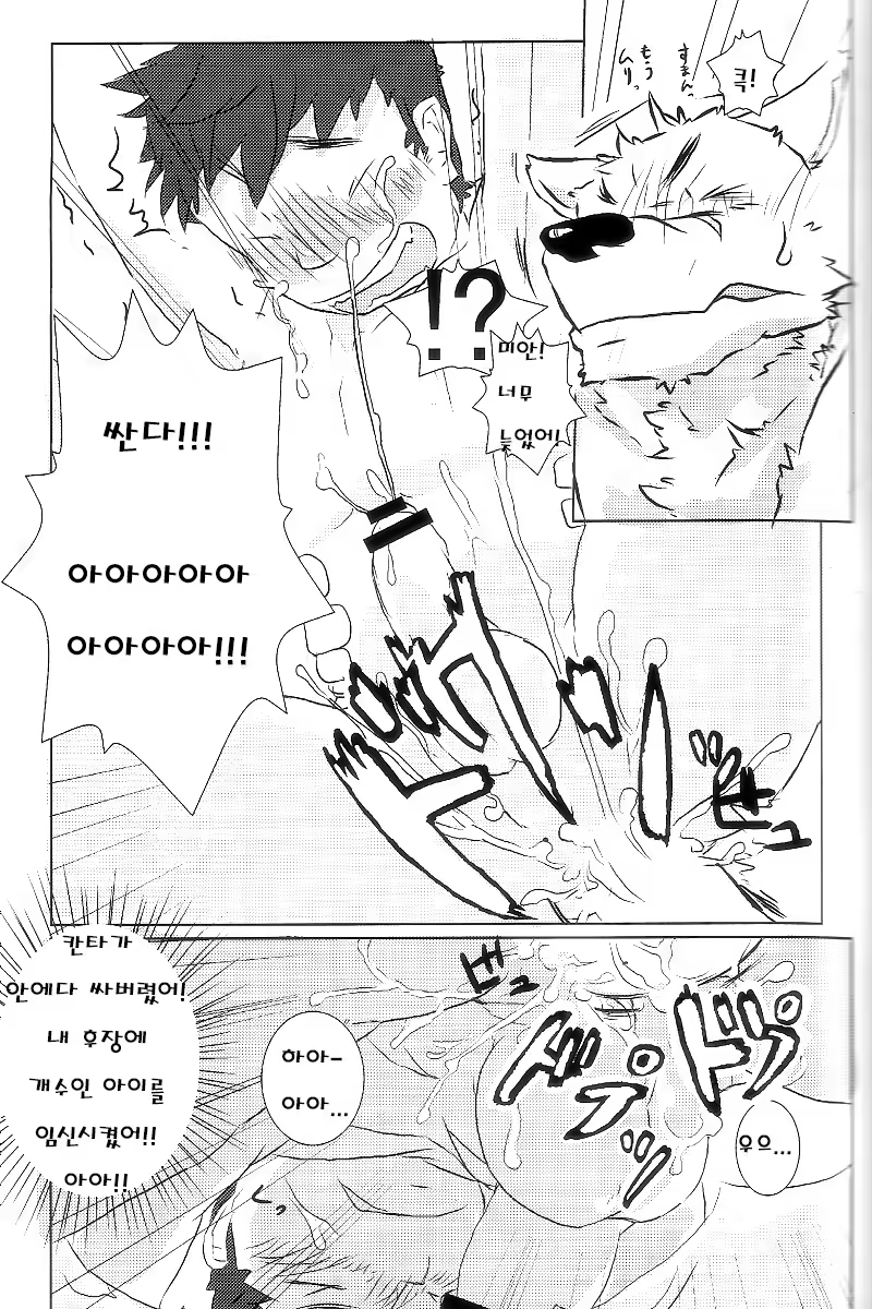 Content 814703 - 17 페이지