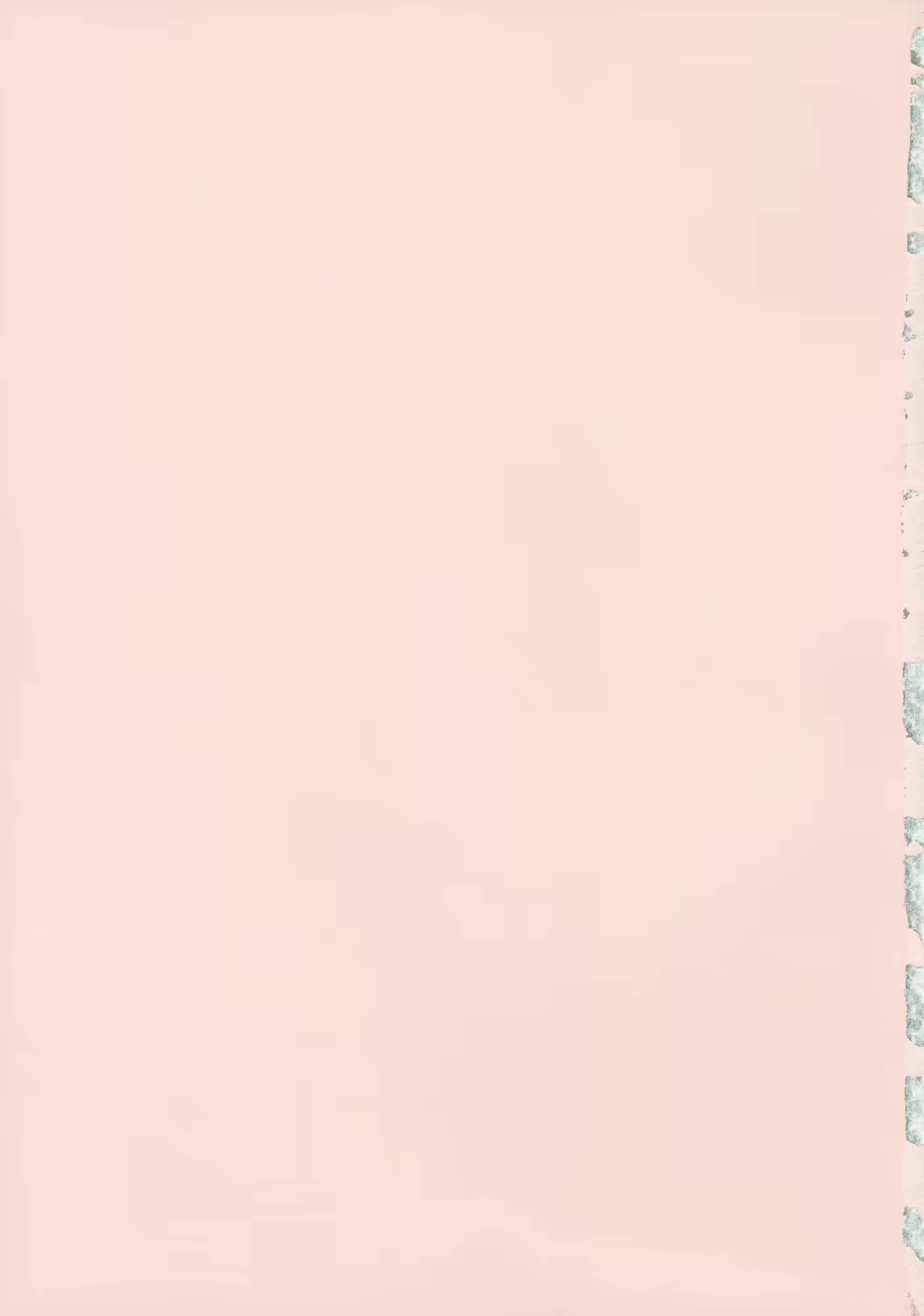 Content 831767 - 251 페이지