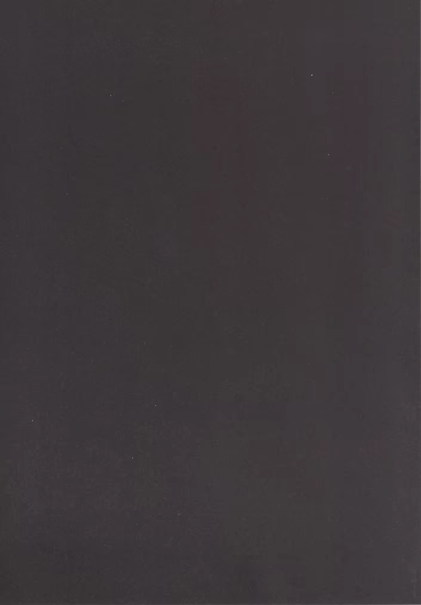 Content 843439 - 3 페이지