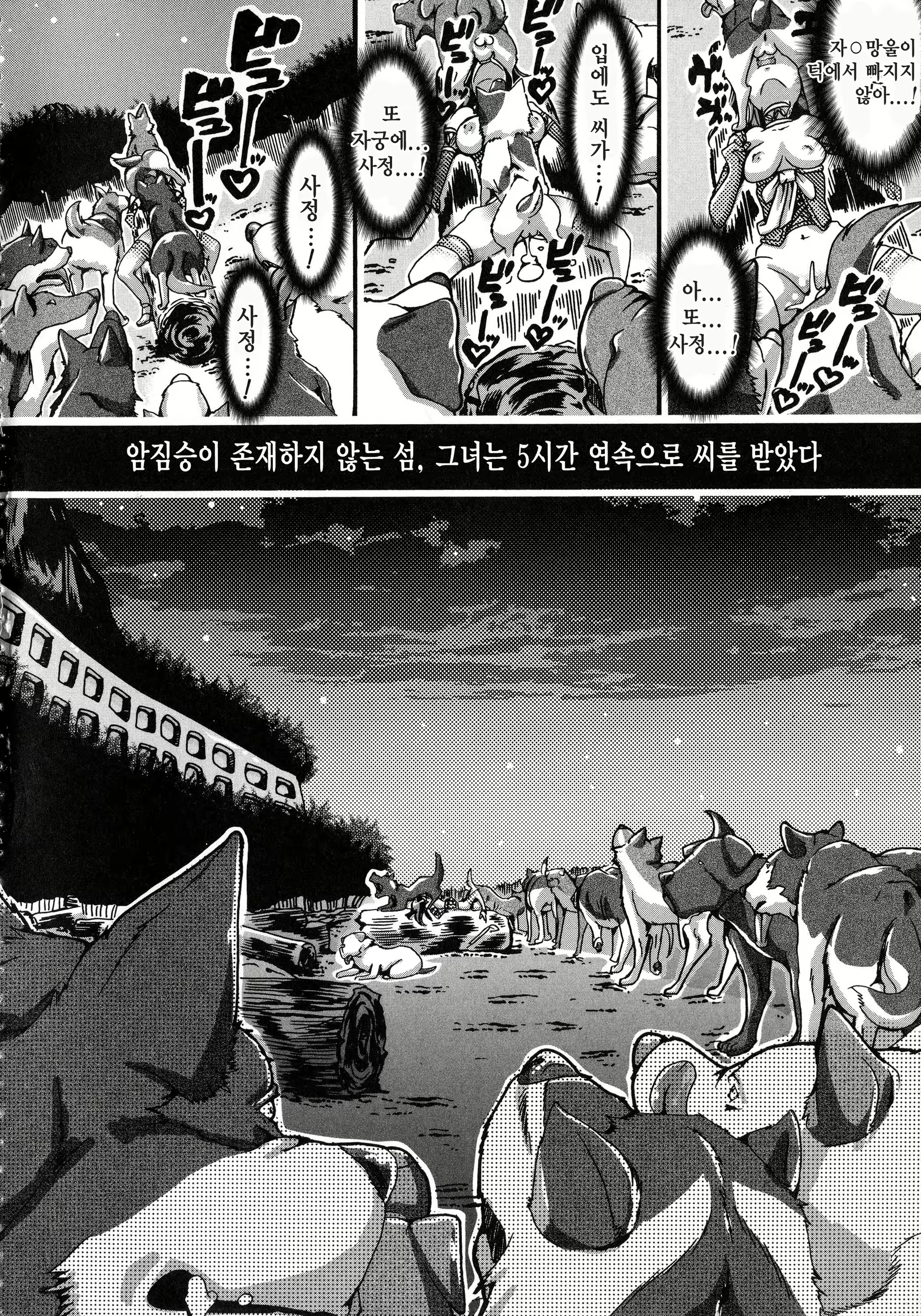 Content 846033 - 147 페이지