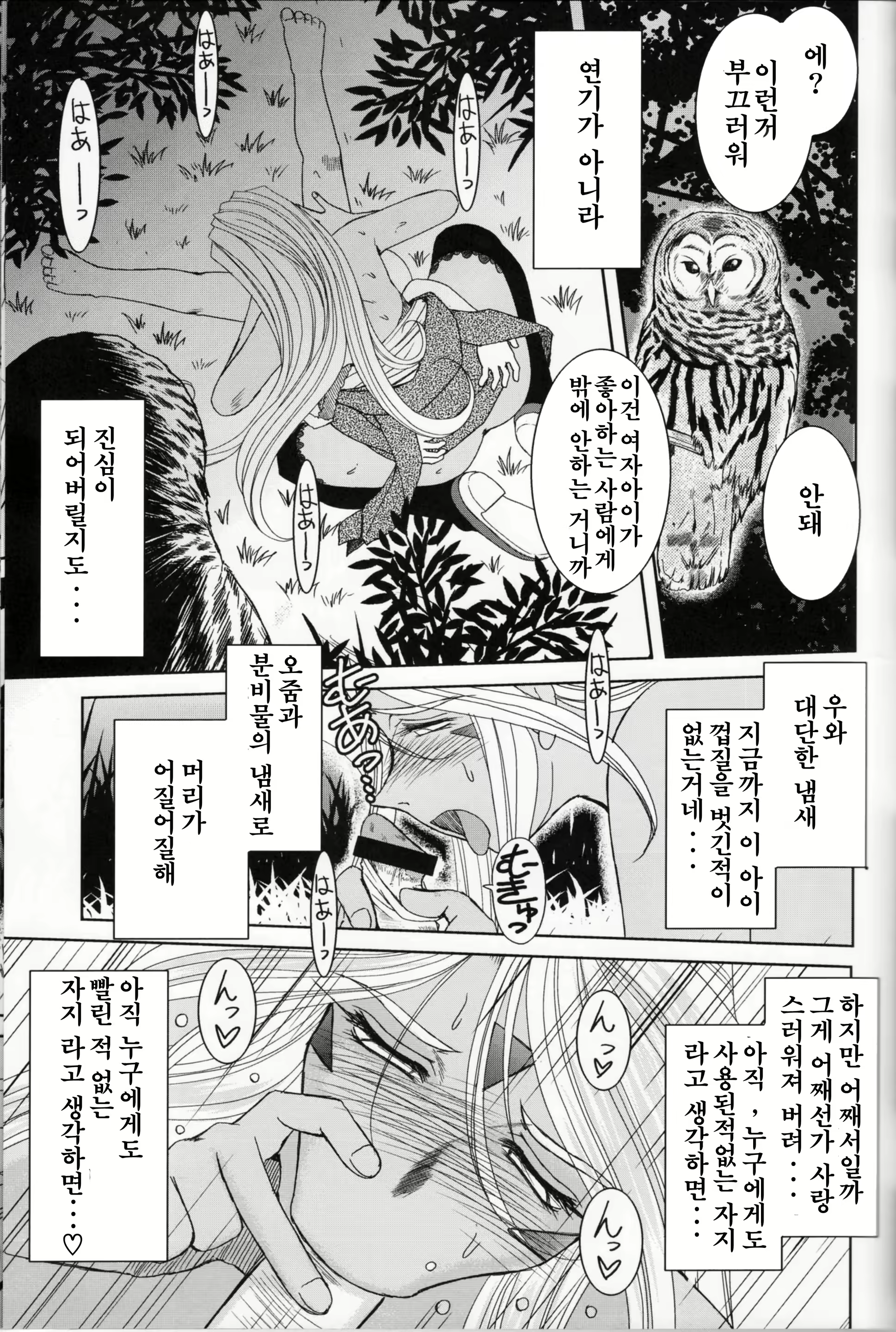 Content 846333 - 18 페이지