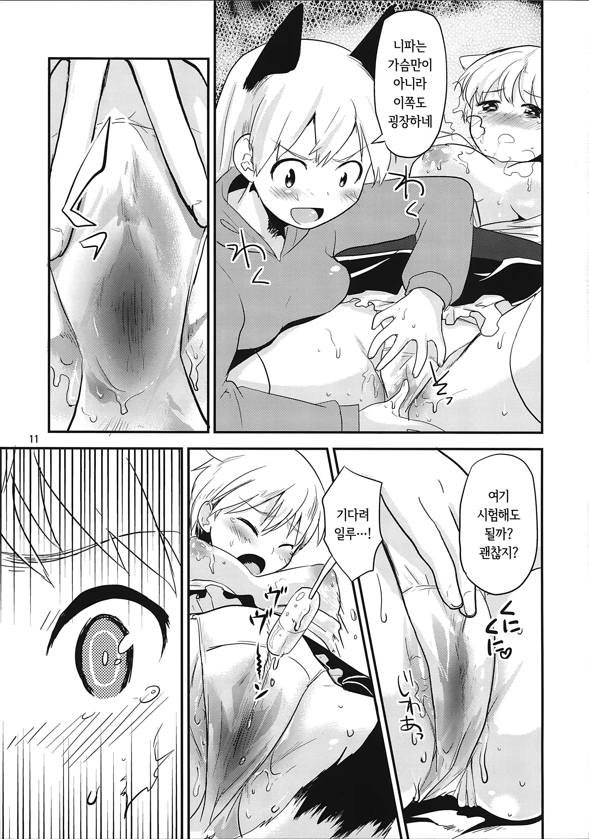 Content 846427 - 11 페이지