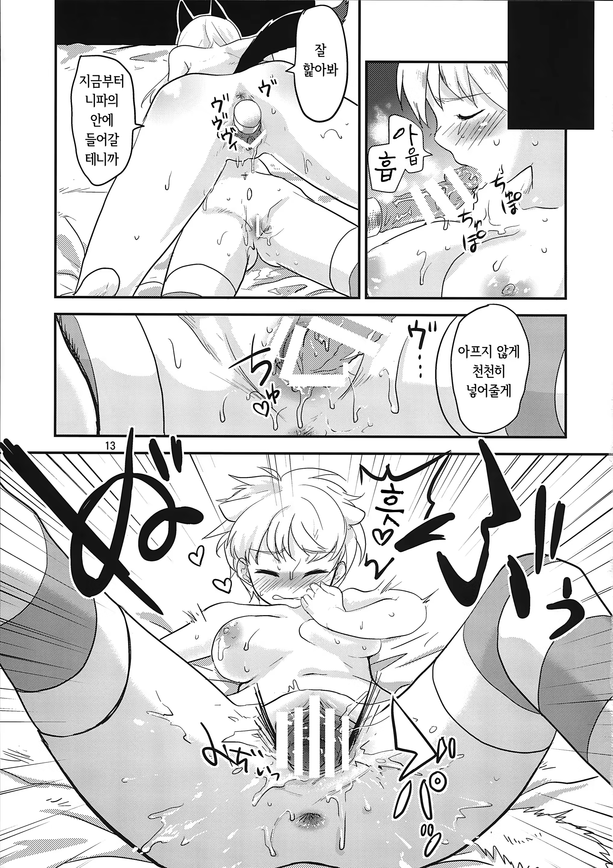 Content 846427 - 13 페이지