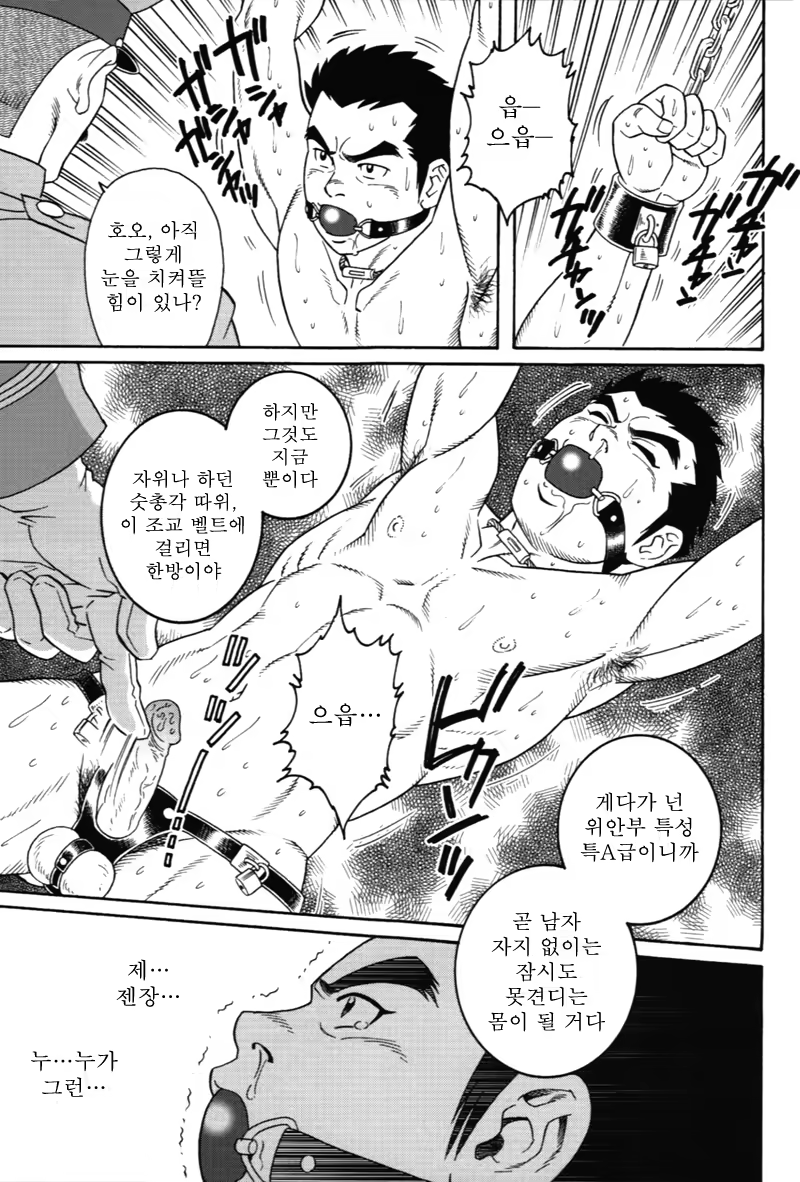 Content 849244 - 31 페이지