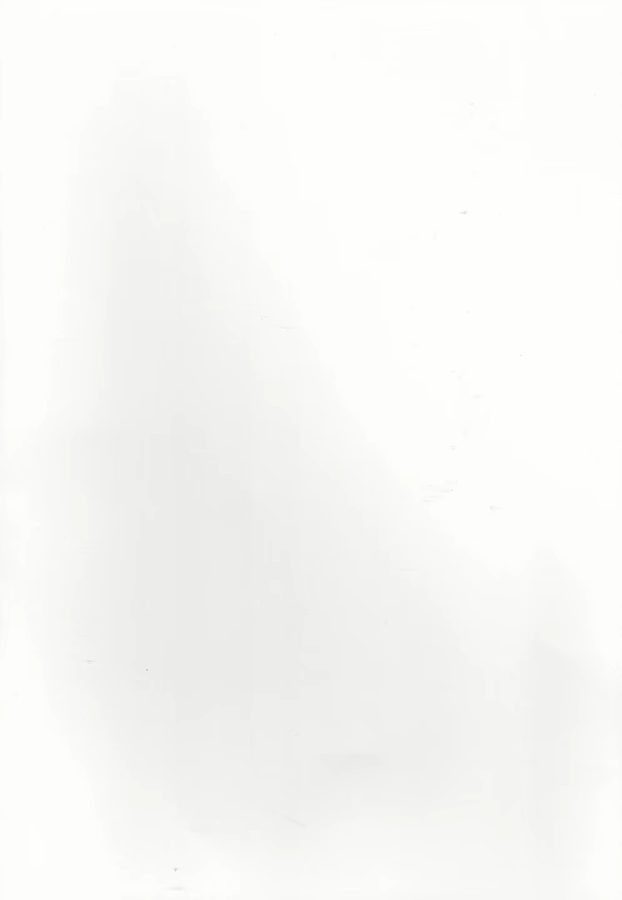 Content 853004 - 2 페이지