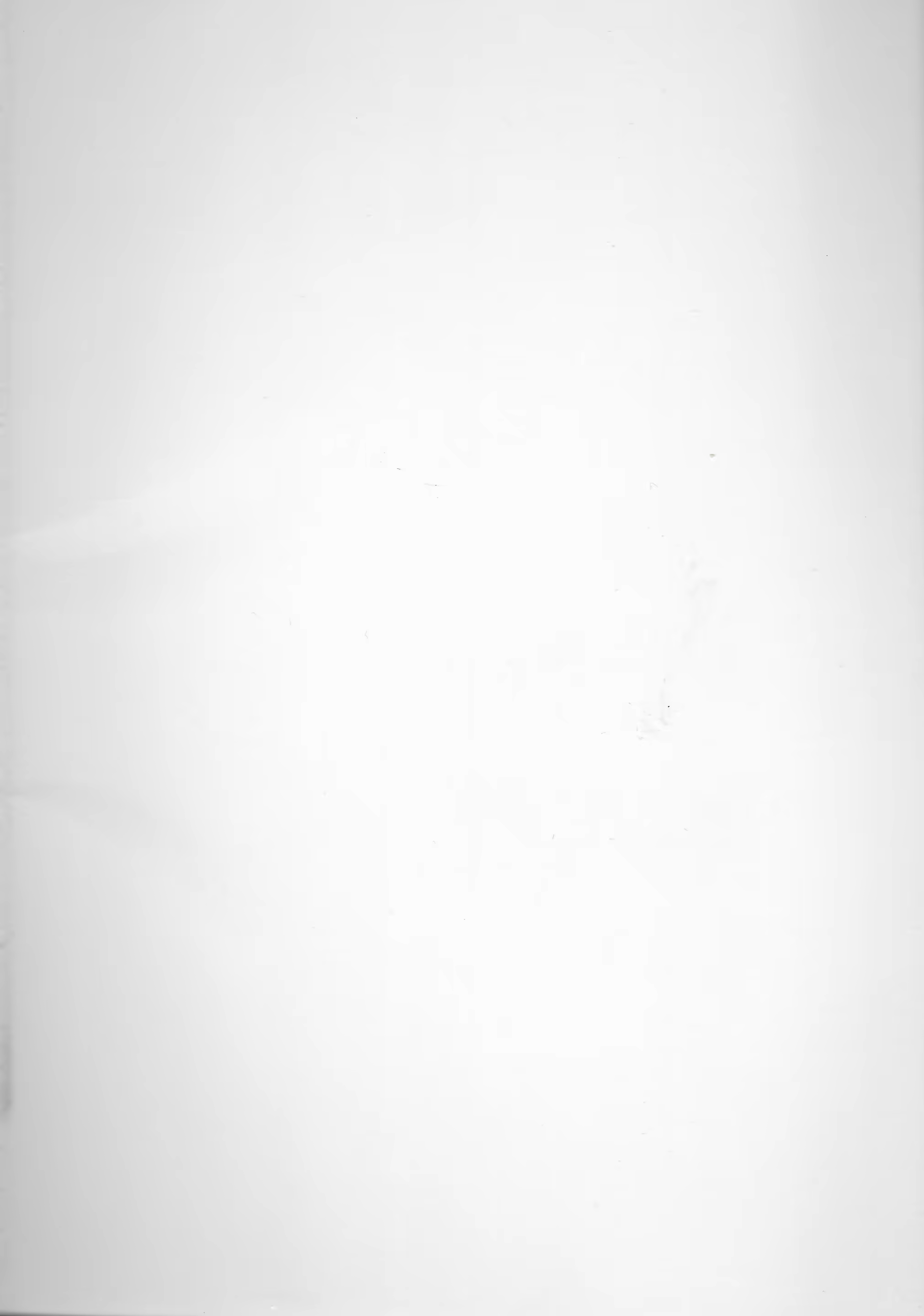 Content 853359 - 2 페이지