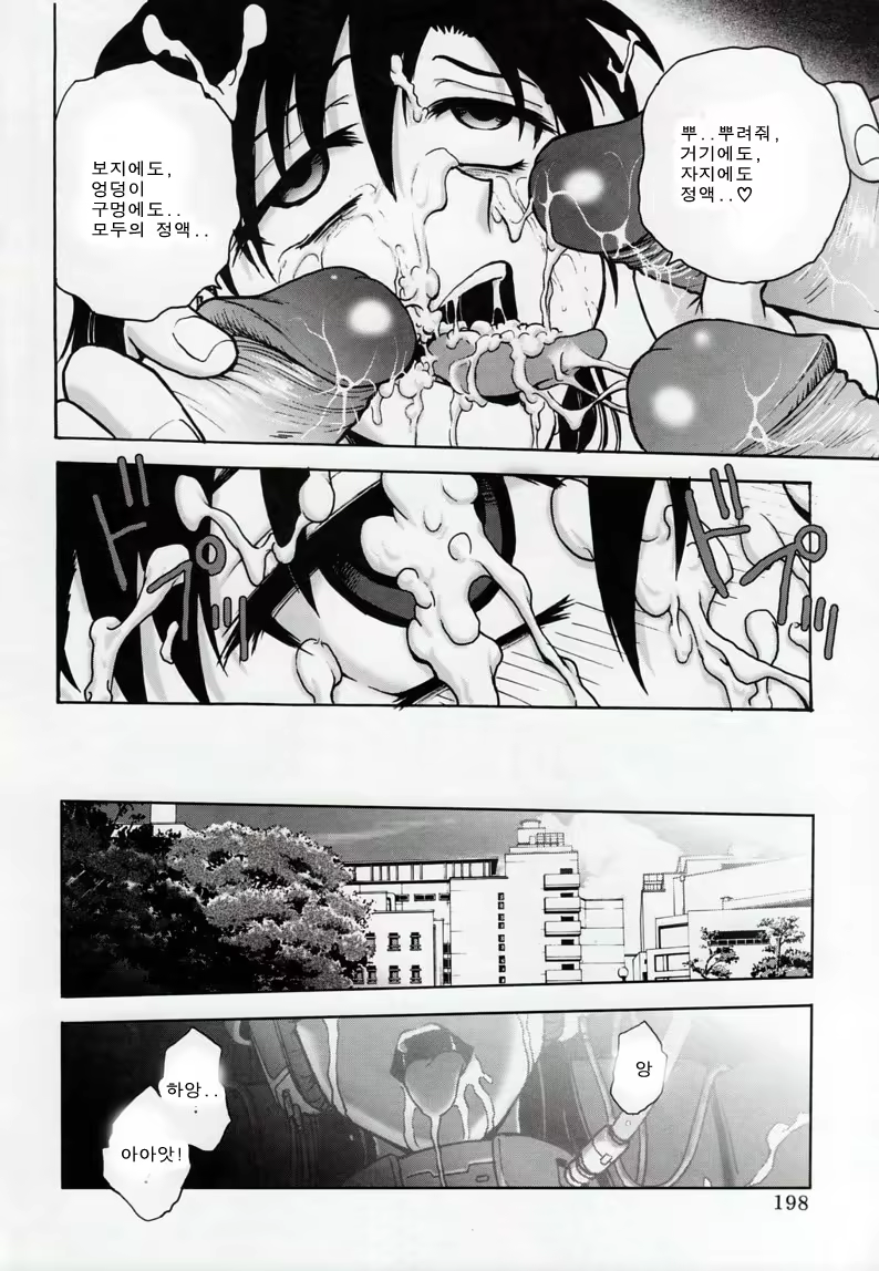 Content 857740 - 197 페이지