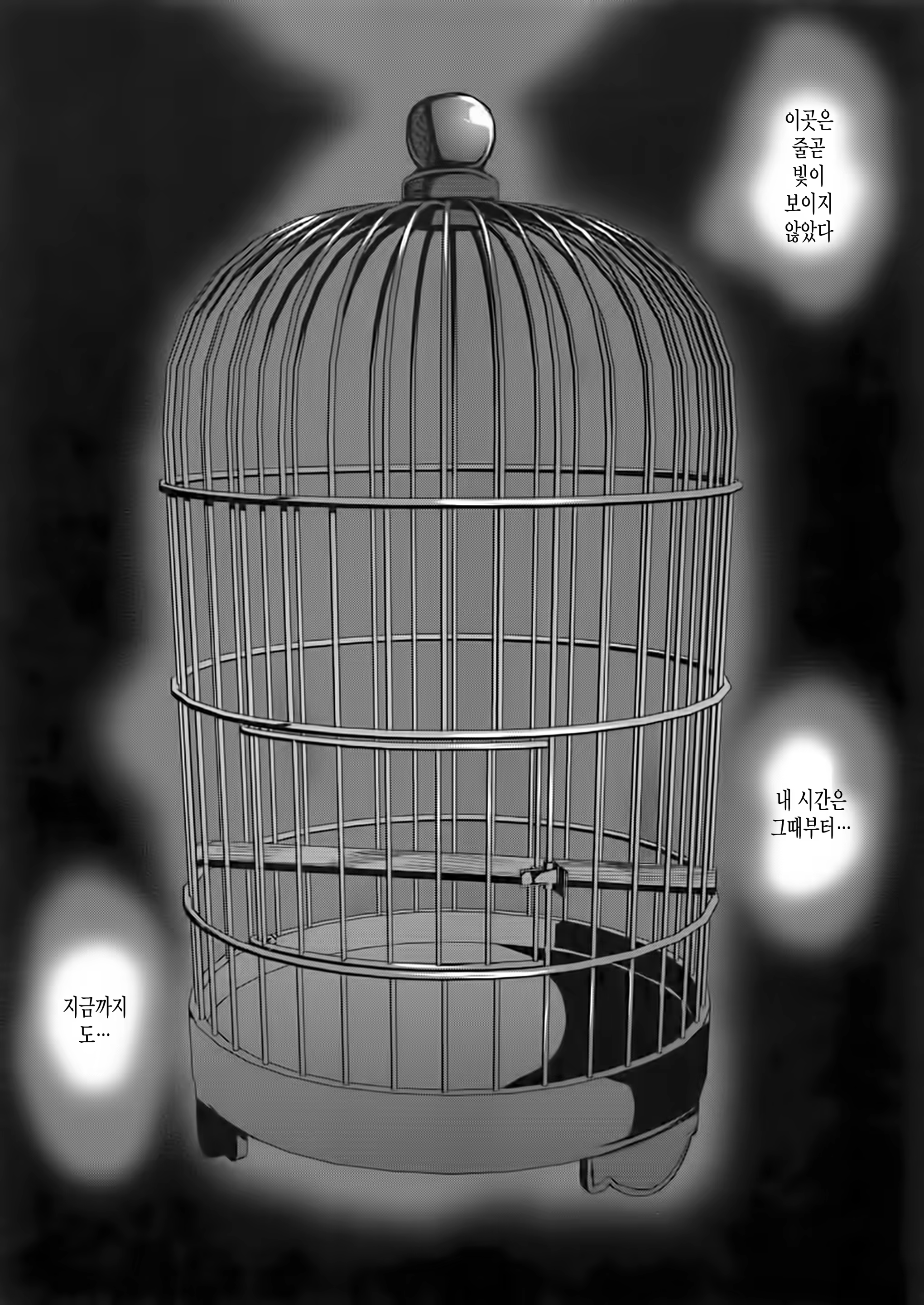 Content 858354 - 4 페이지