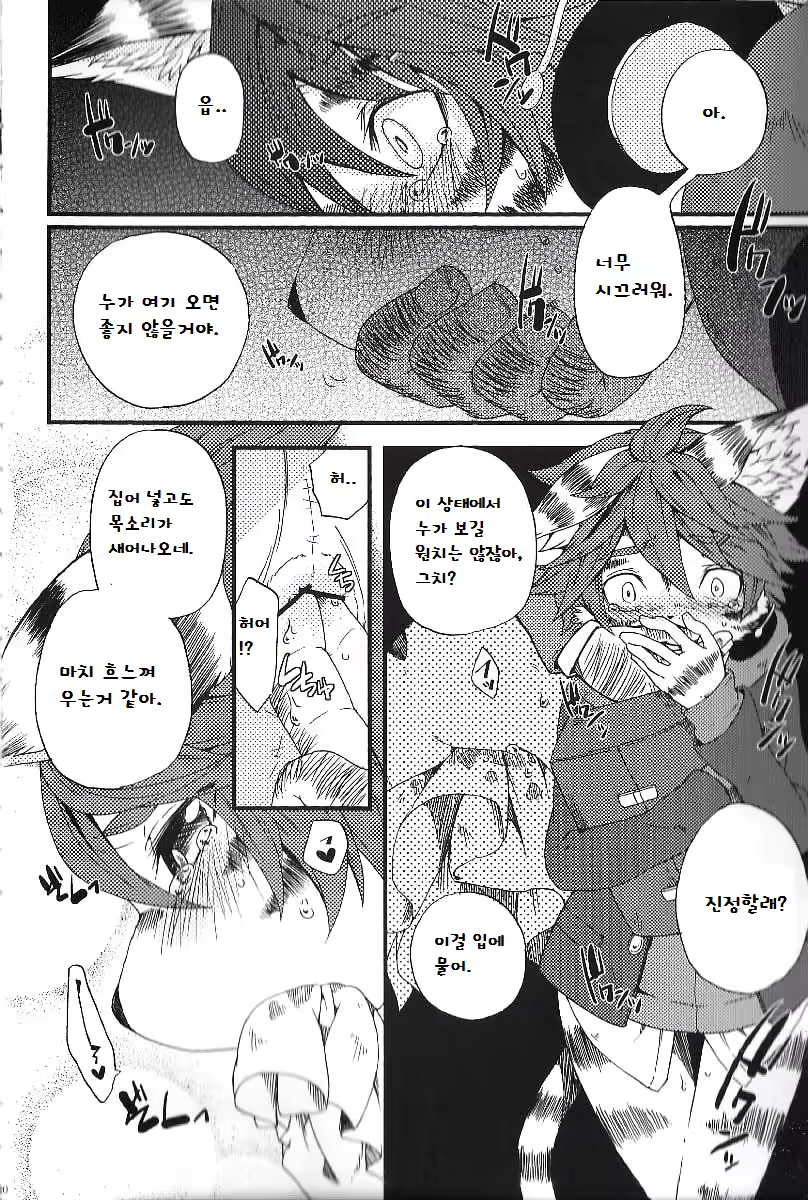Content 864018 - 70 페이지