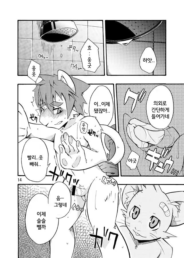 Content 865476 - 13 페이지