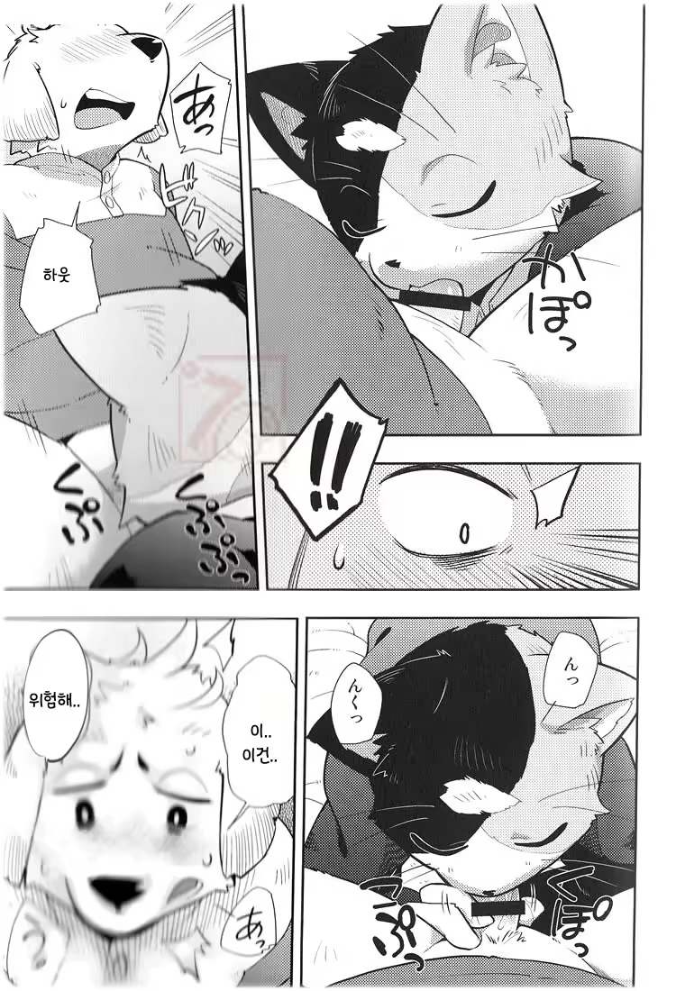 Content 865736 - 17 페이지