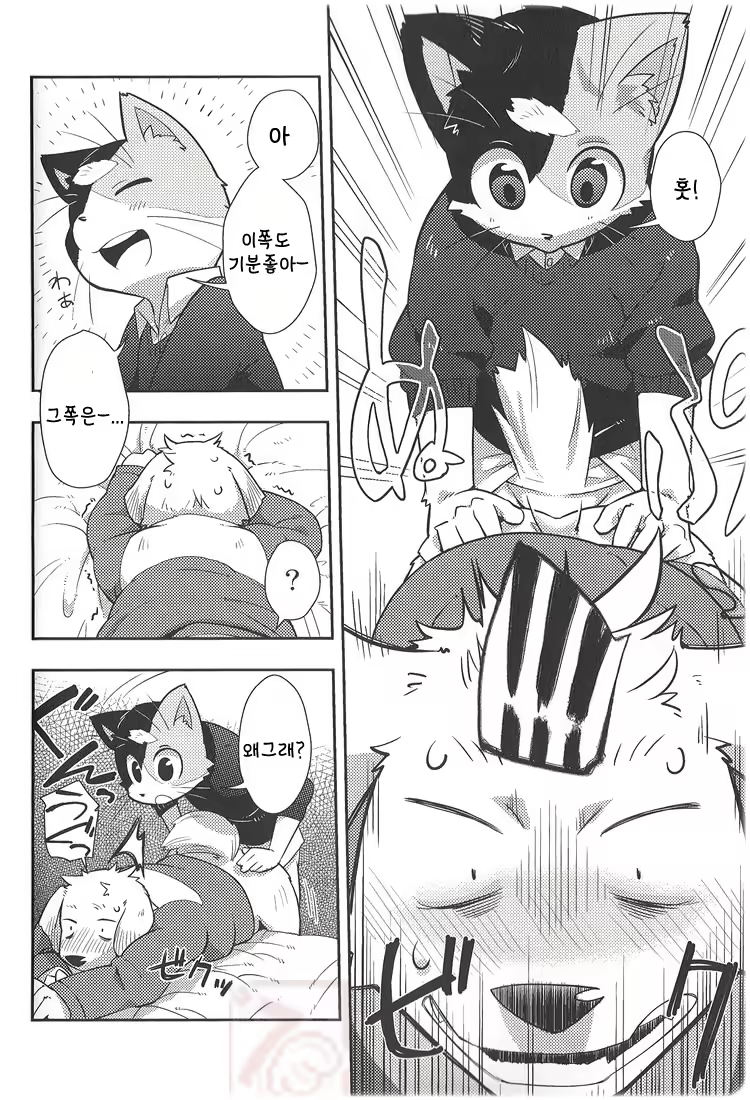 Content 865736 - 26 페이지