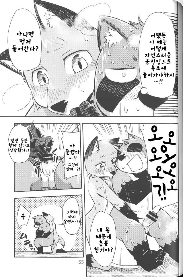 Content 865737 - 14 페이지