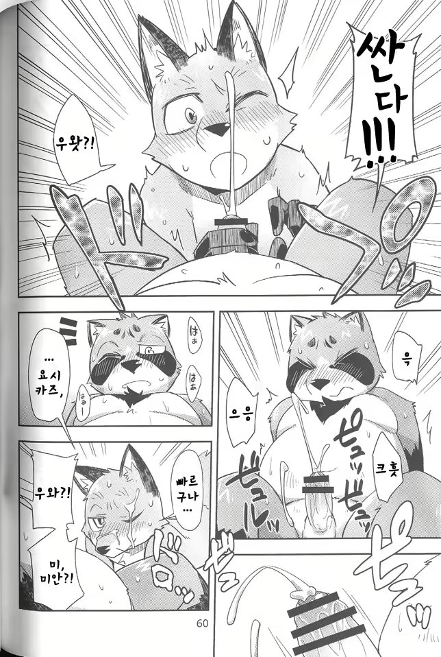 Content 865737 - 19 페이지
