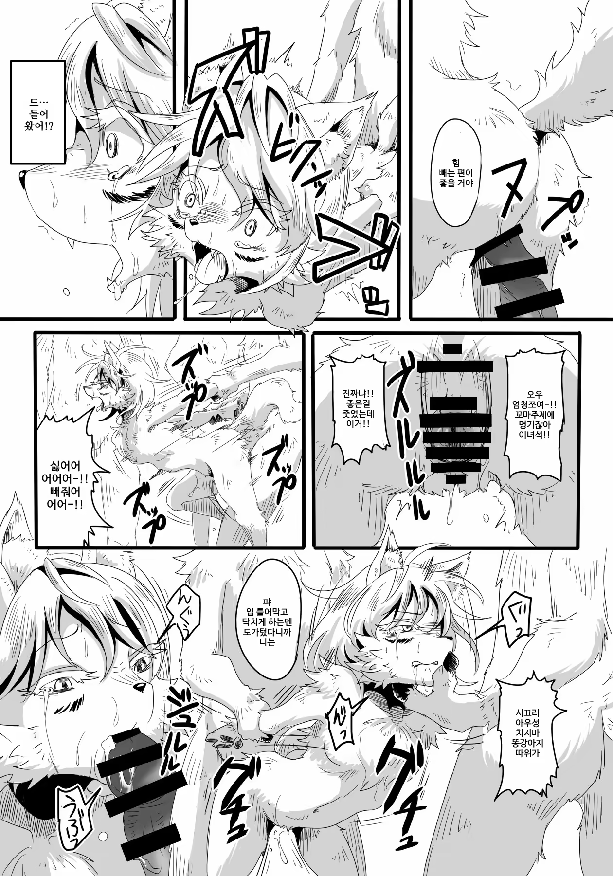 Content 868866 - 13 페이지