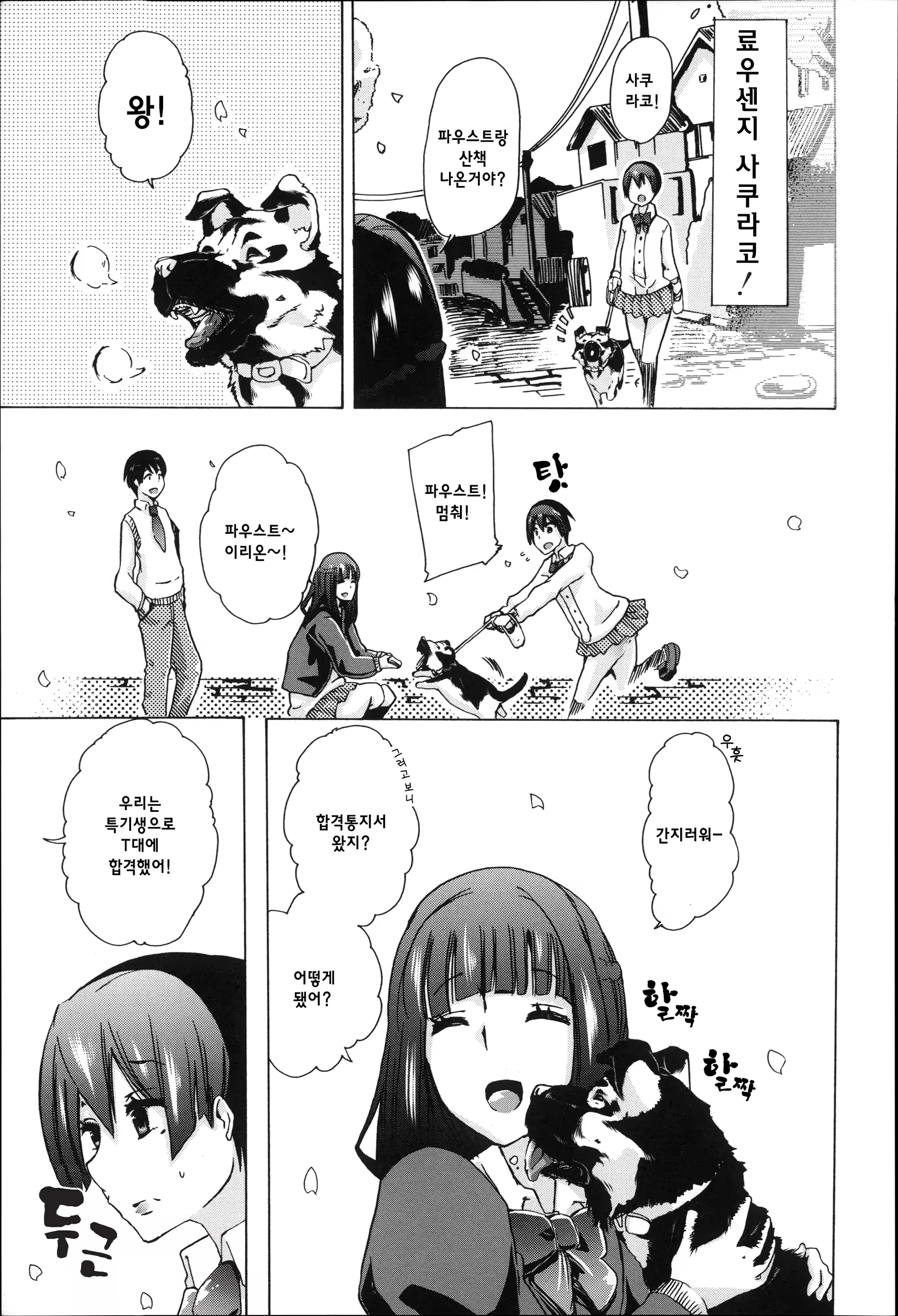 Content 877405 - 11 페이지