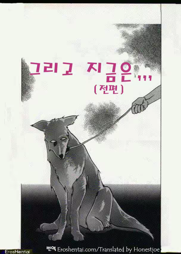 Content 877942 - 1 페이지