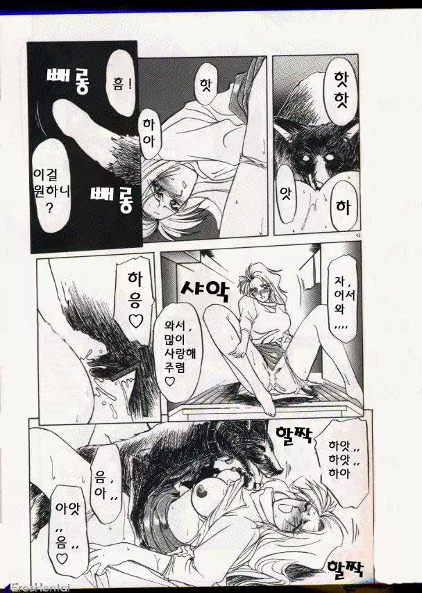 Content 877942 - 32 페이지