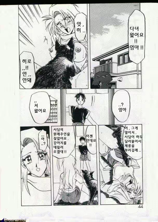 Content 877942 - 33 페이지