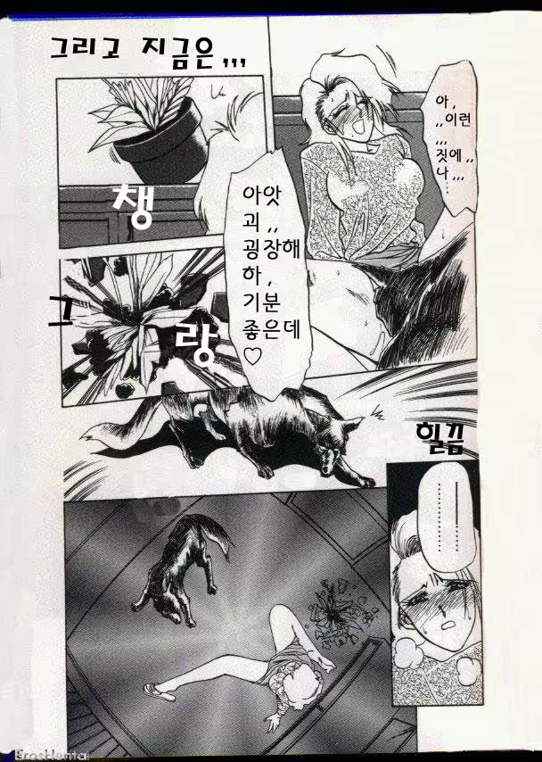 Content 877942 - 8 페이지