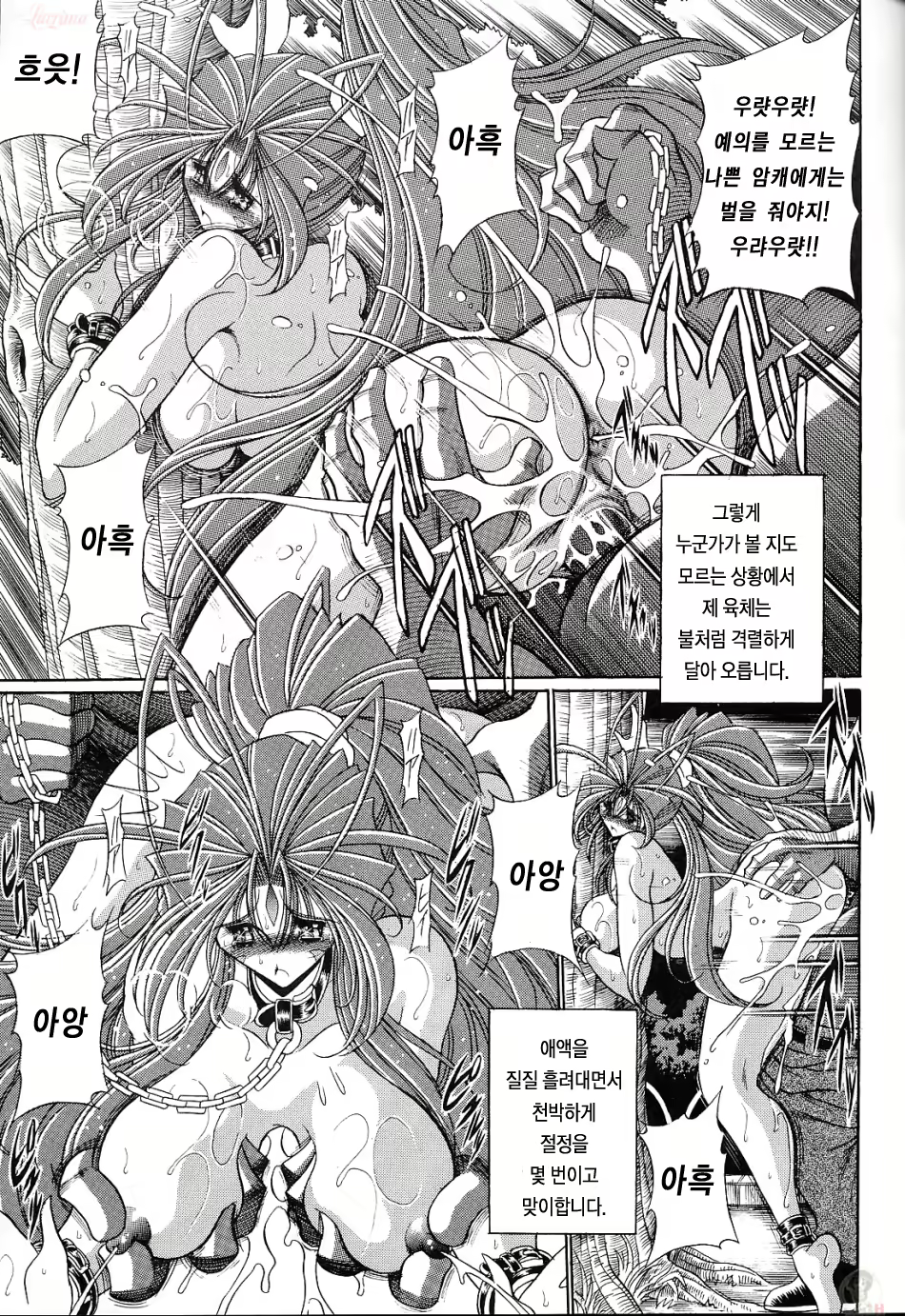 Content 878529 - 31 페이지