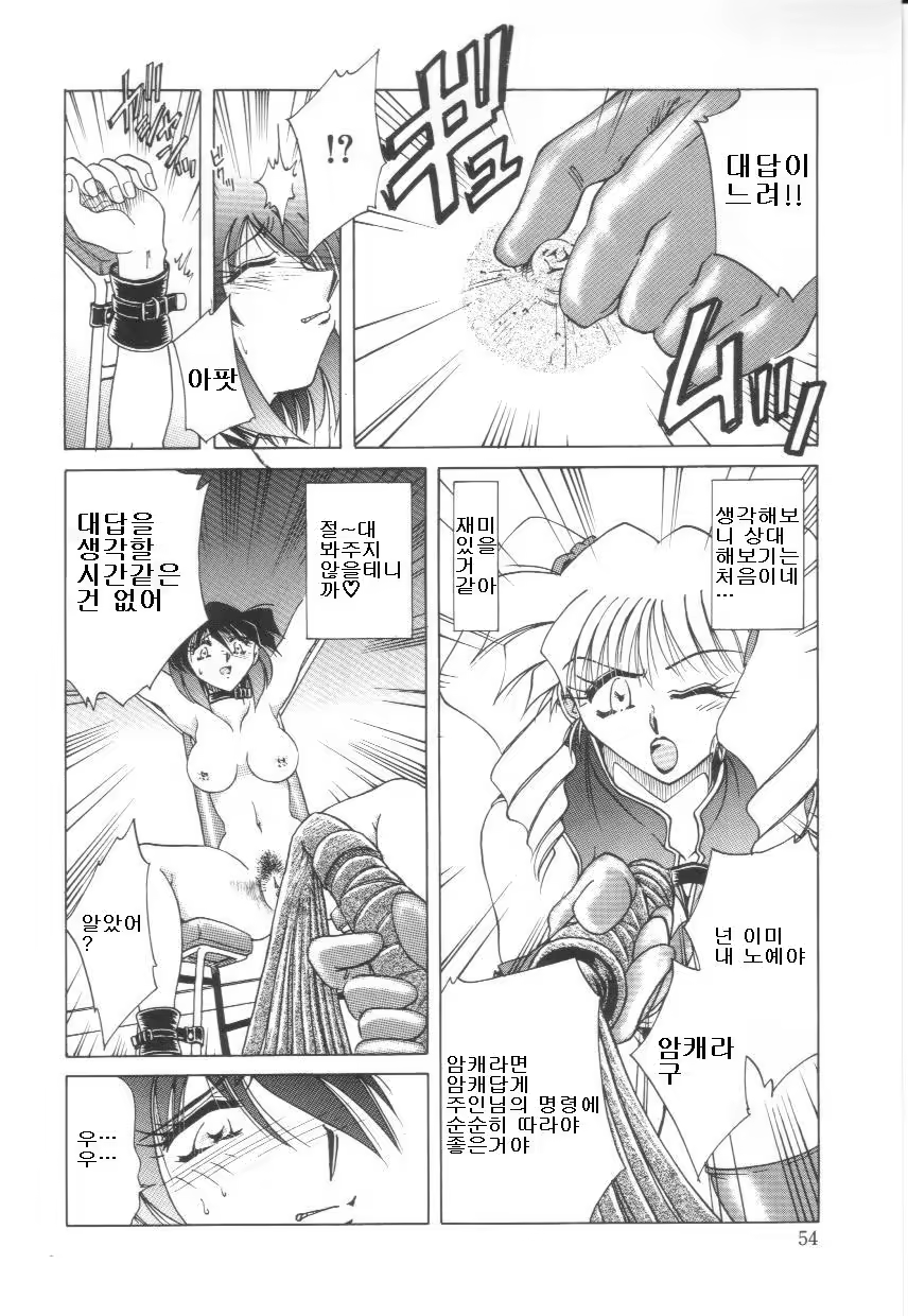 Content 879727 - 53 페이지