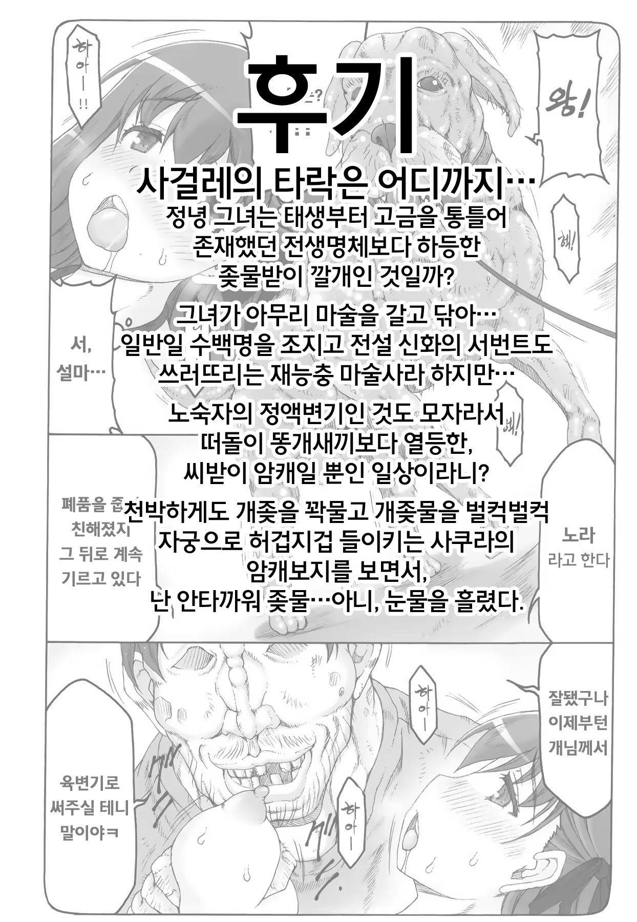 Content 882852 - 24 페이지