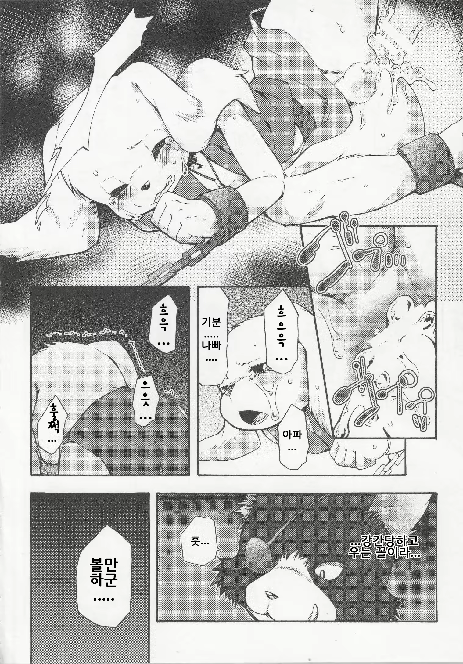 Content 886182 - 14 페이지