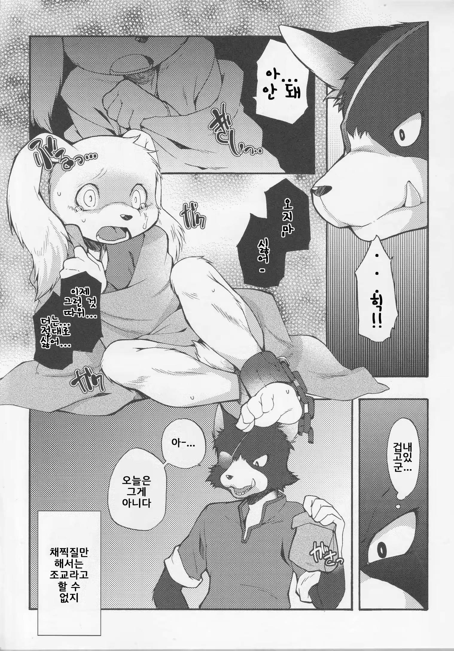 Content 886182 - 16 페이지