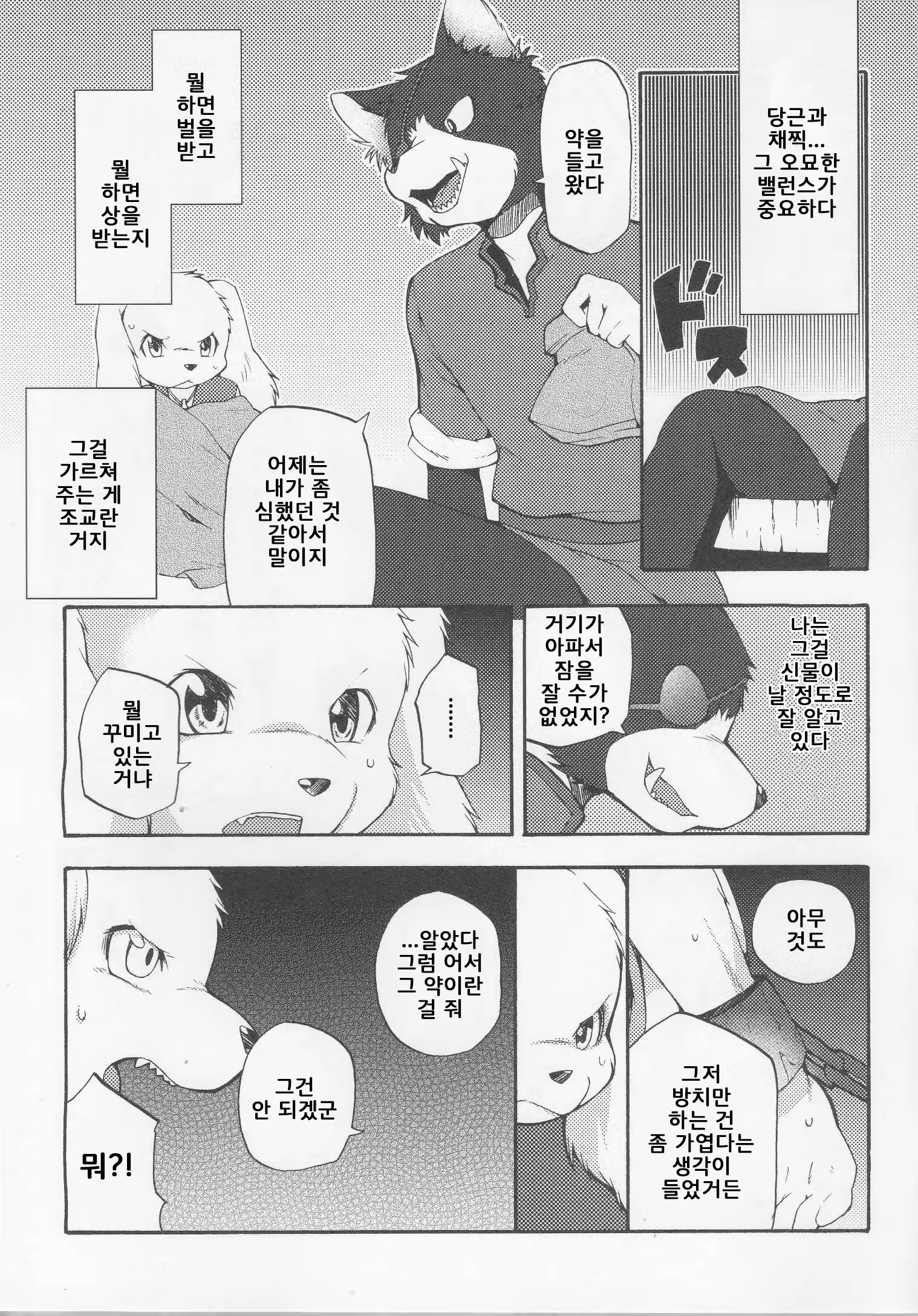 Content 886182 - 17 페이지