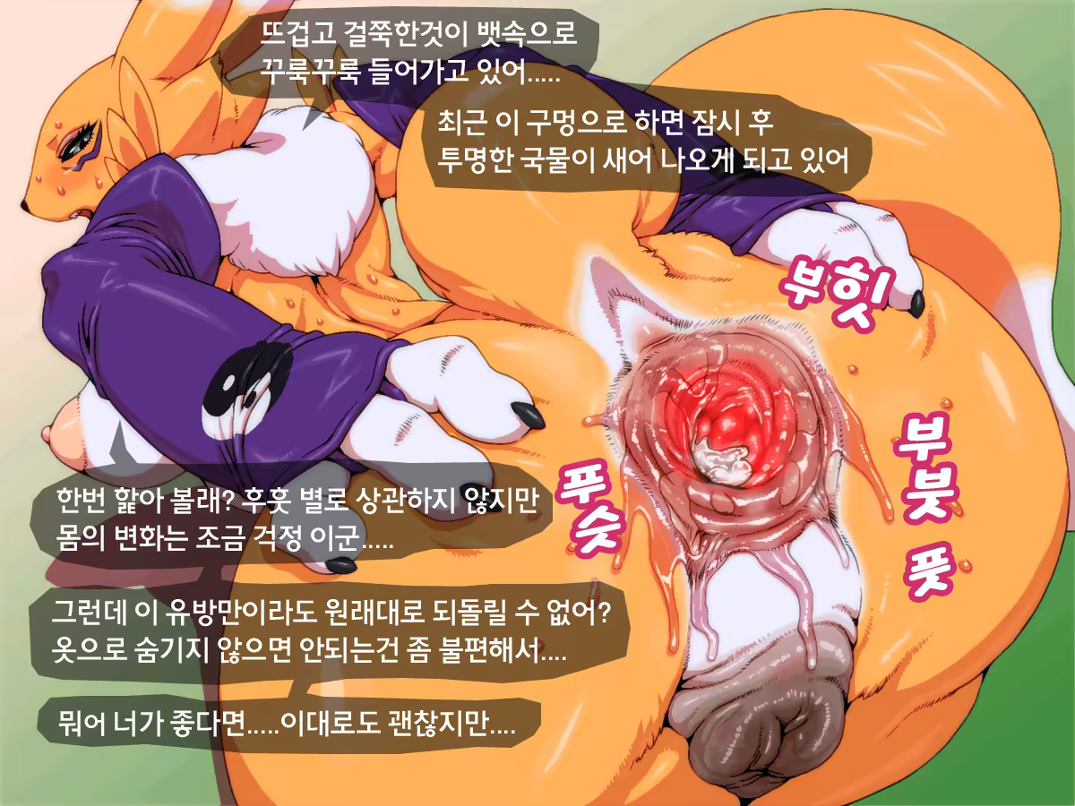 Content 887211 - 44 페이지