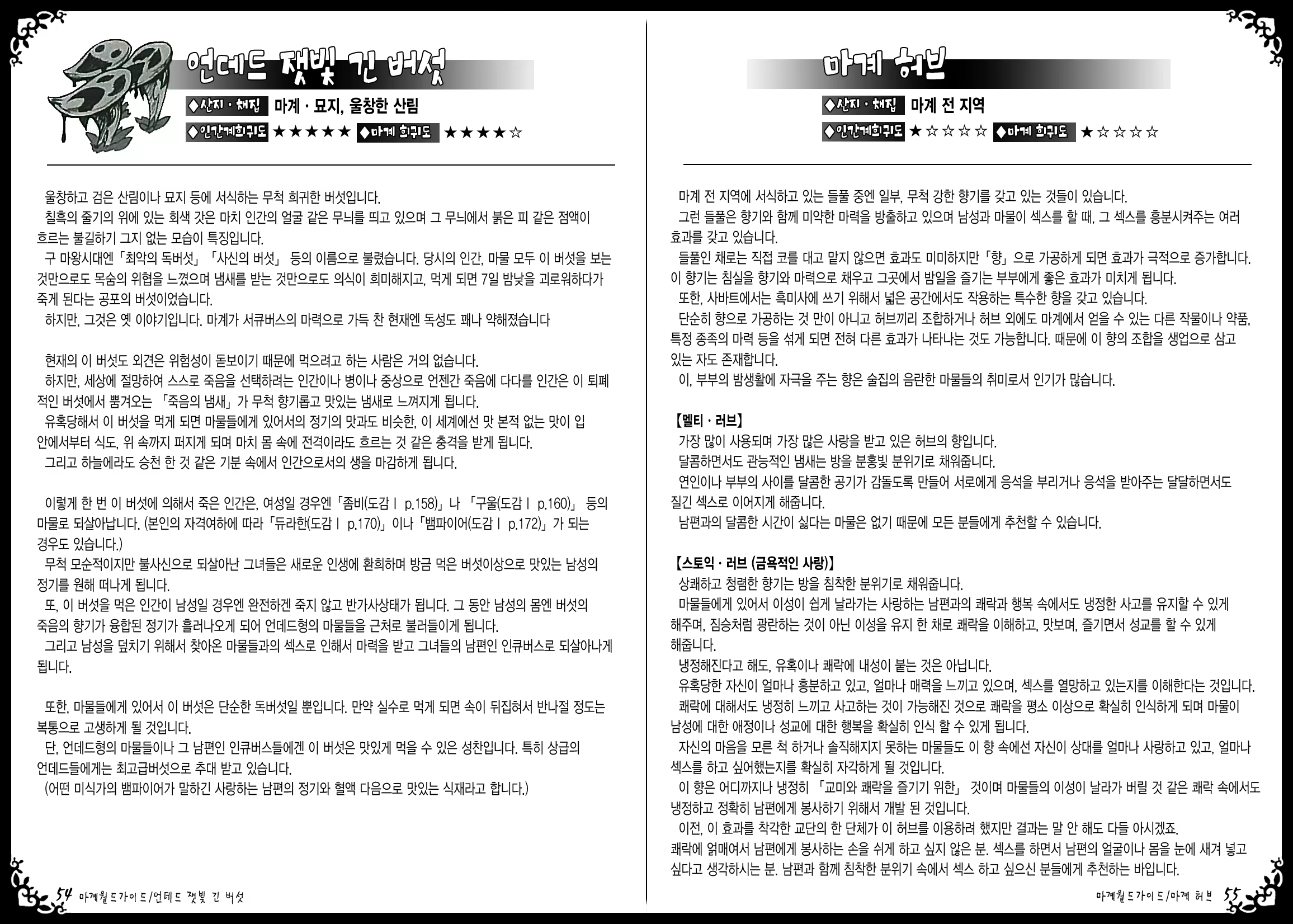 Content 889234 - 31 페이지