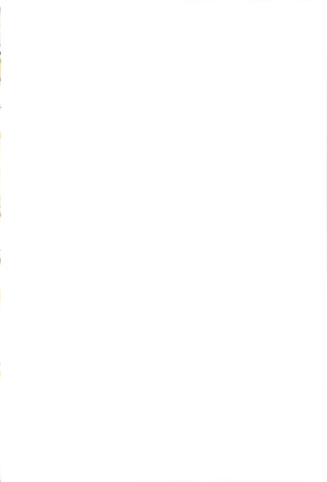 Content 890577 - 2 페이지
