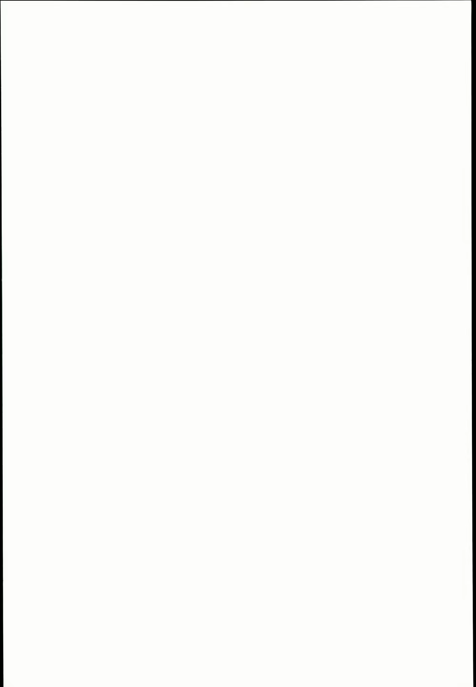 Content 892224 - 2 페이지