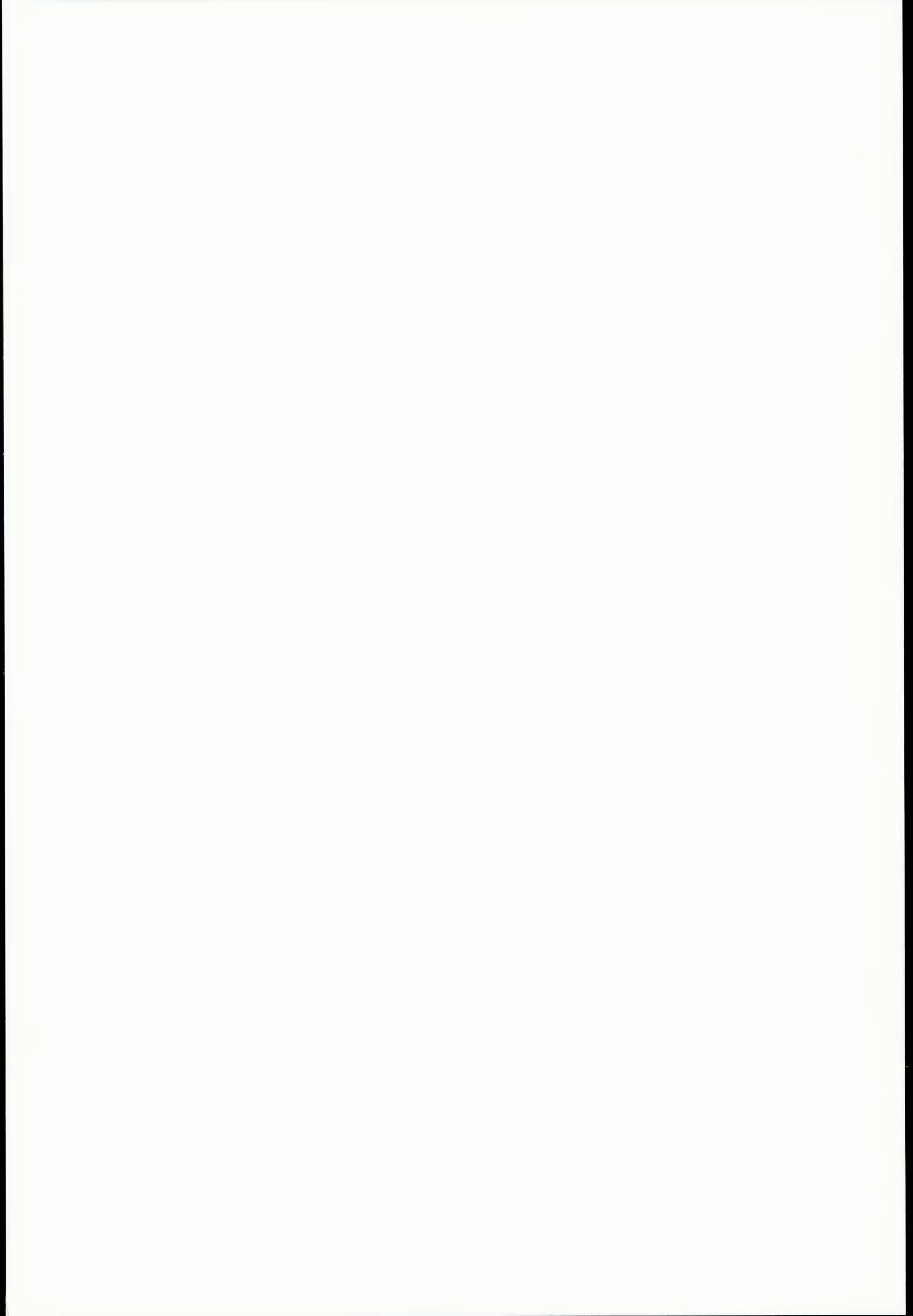 Content 892350 - 3 페이지