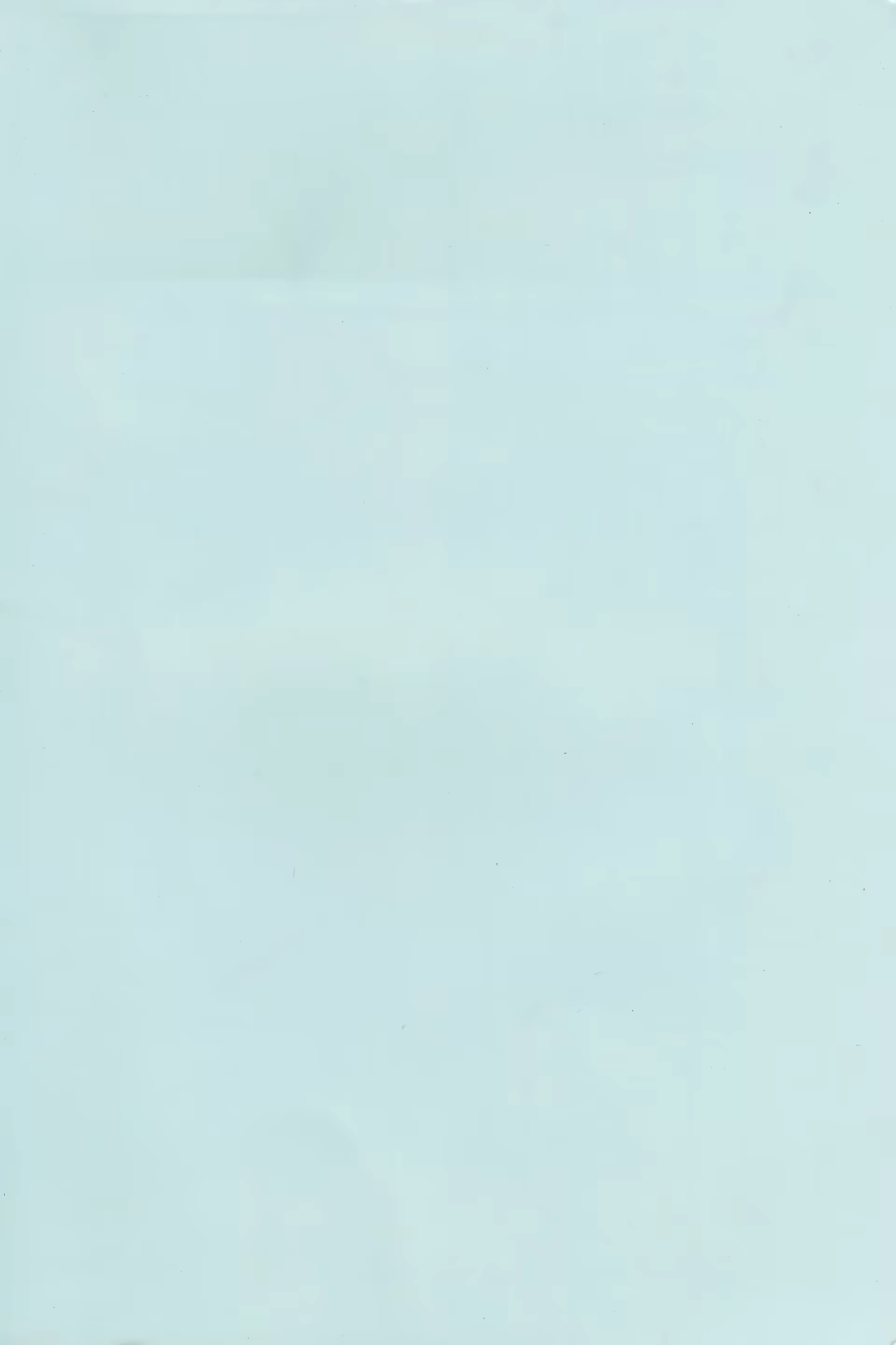 Content 892358 - 38 페이지