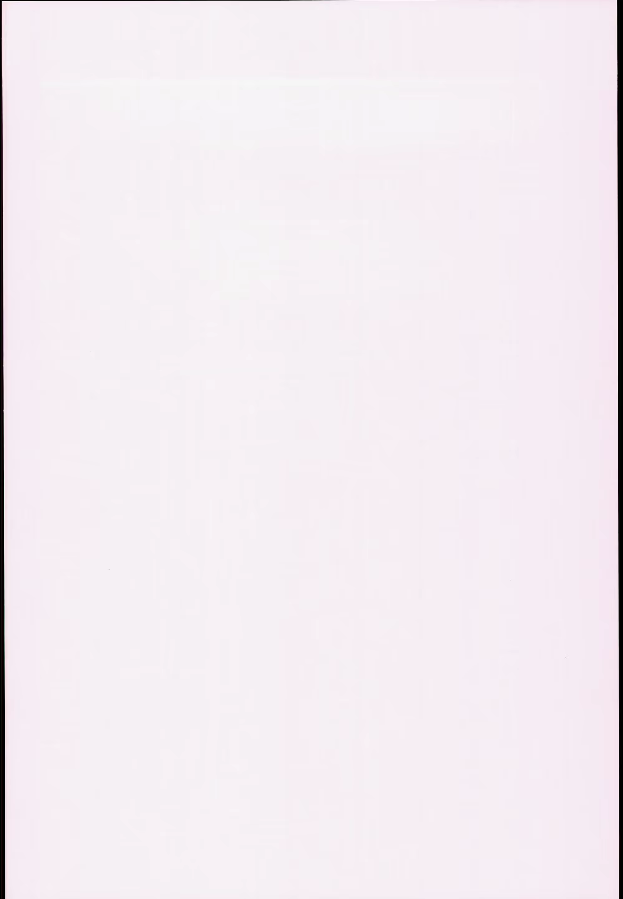 Content 892617 - 30 페이지