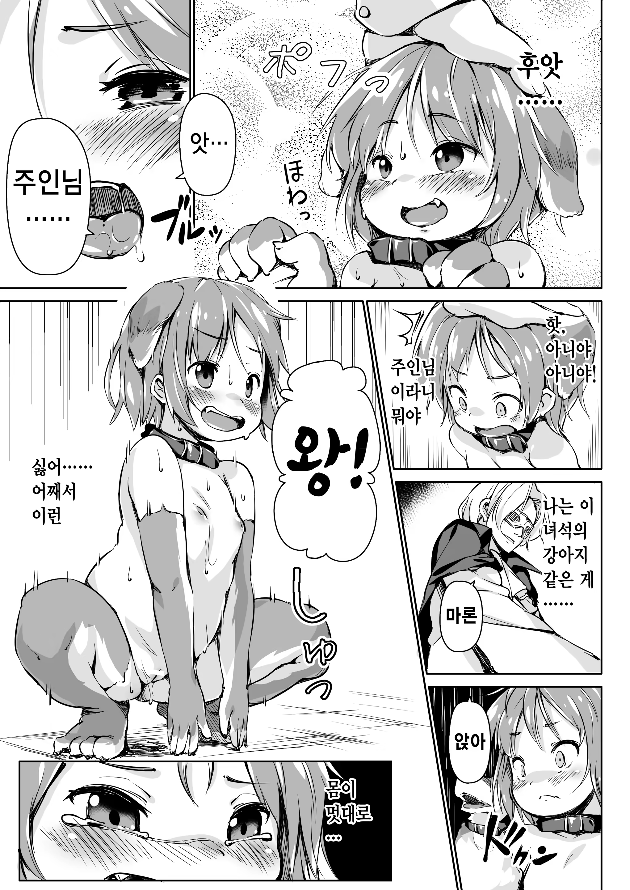 Content 894657 - 12 페이지