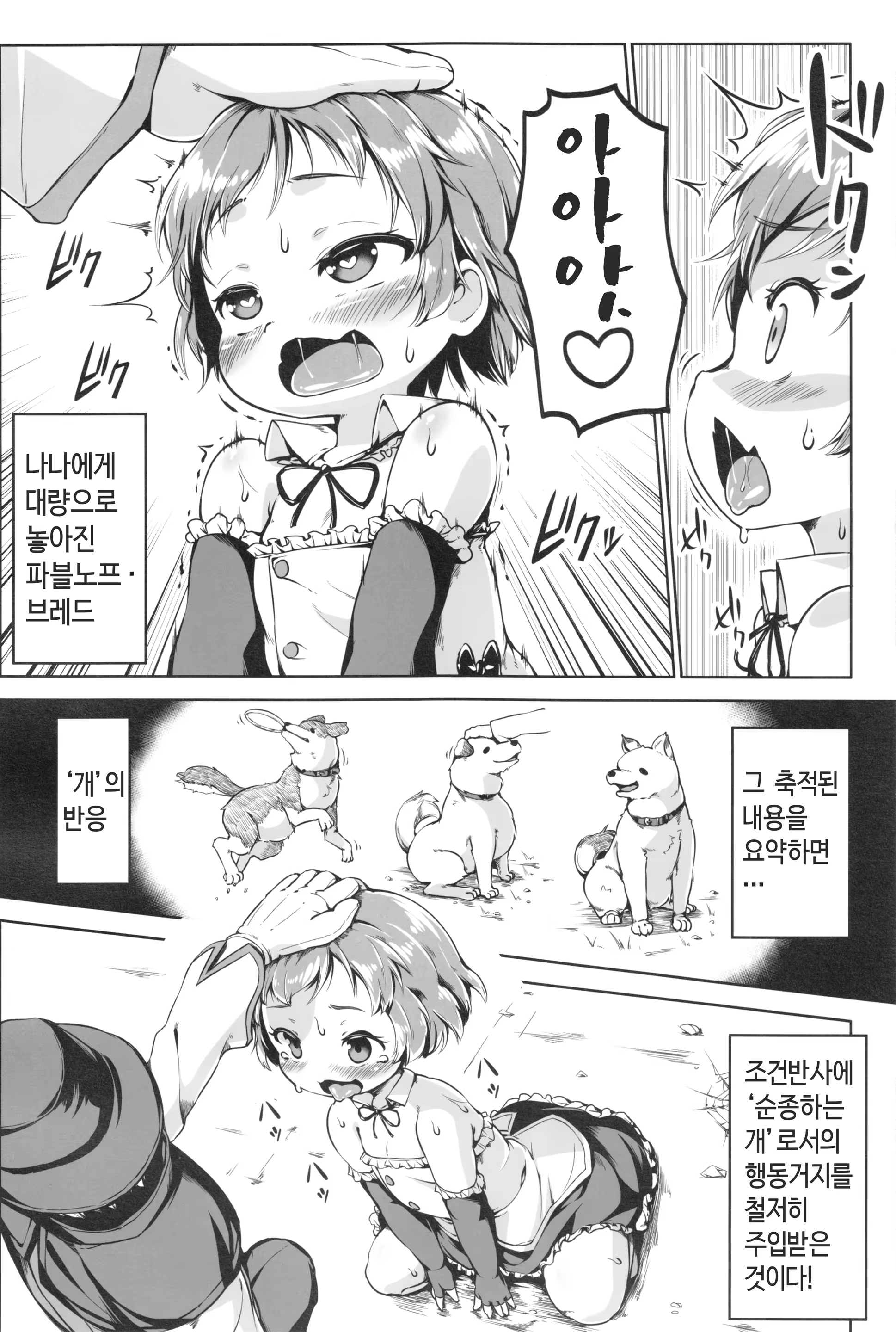 Content 896208 - 7 페이지