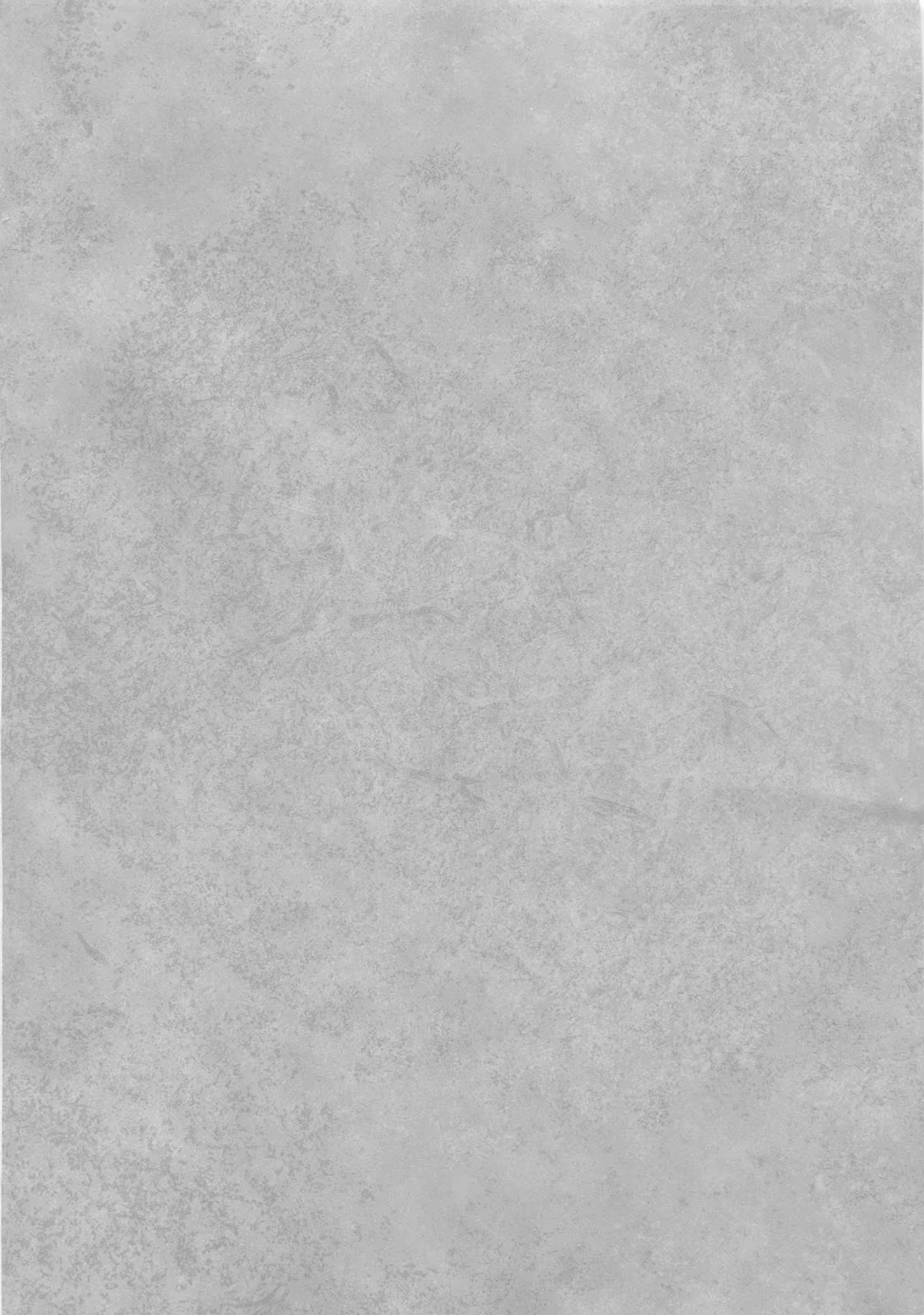Content 897041 - 3 페이지
